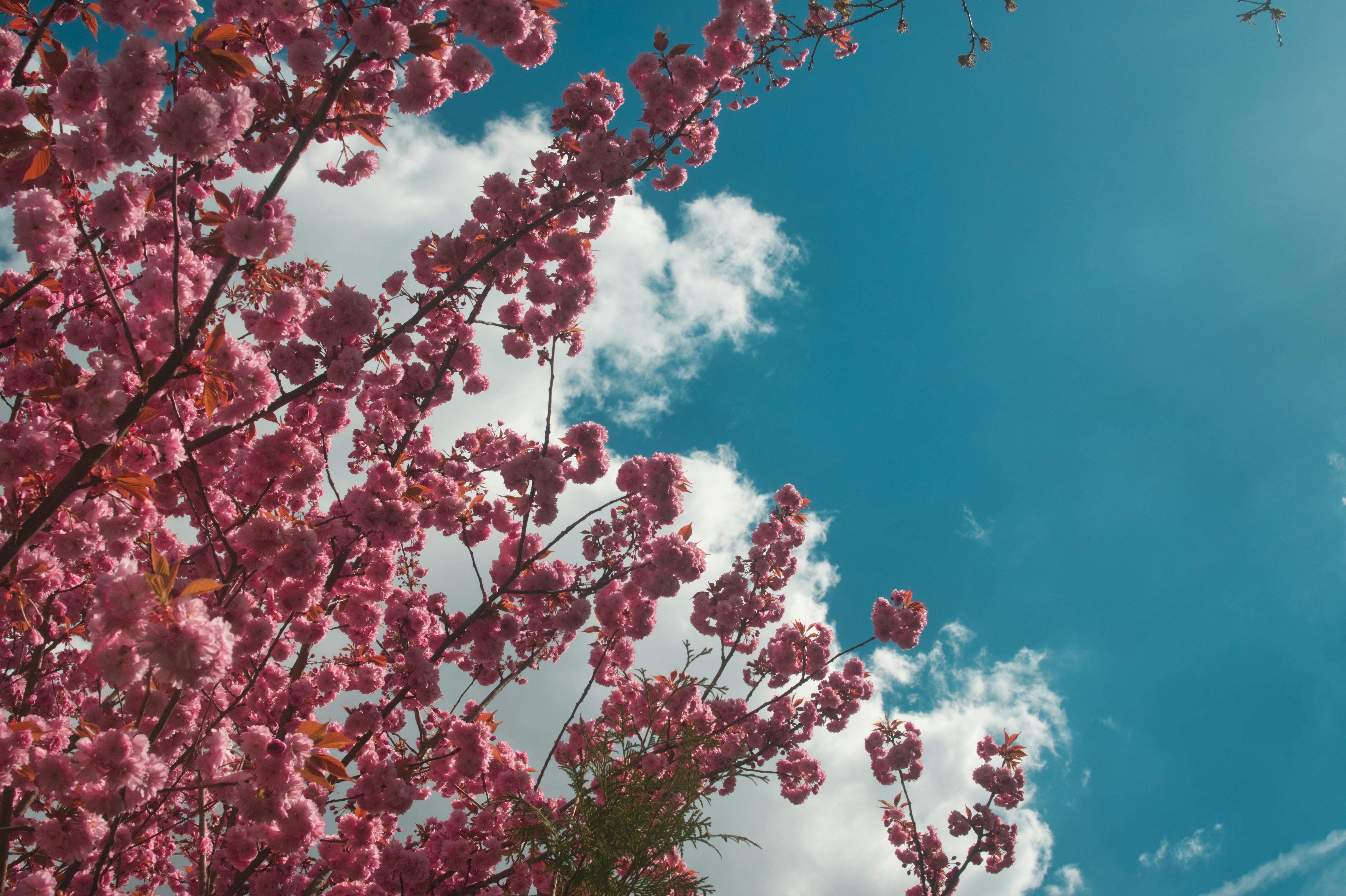 Photo by steffano_alberto