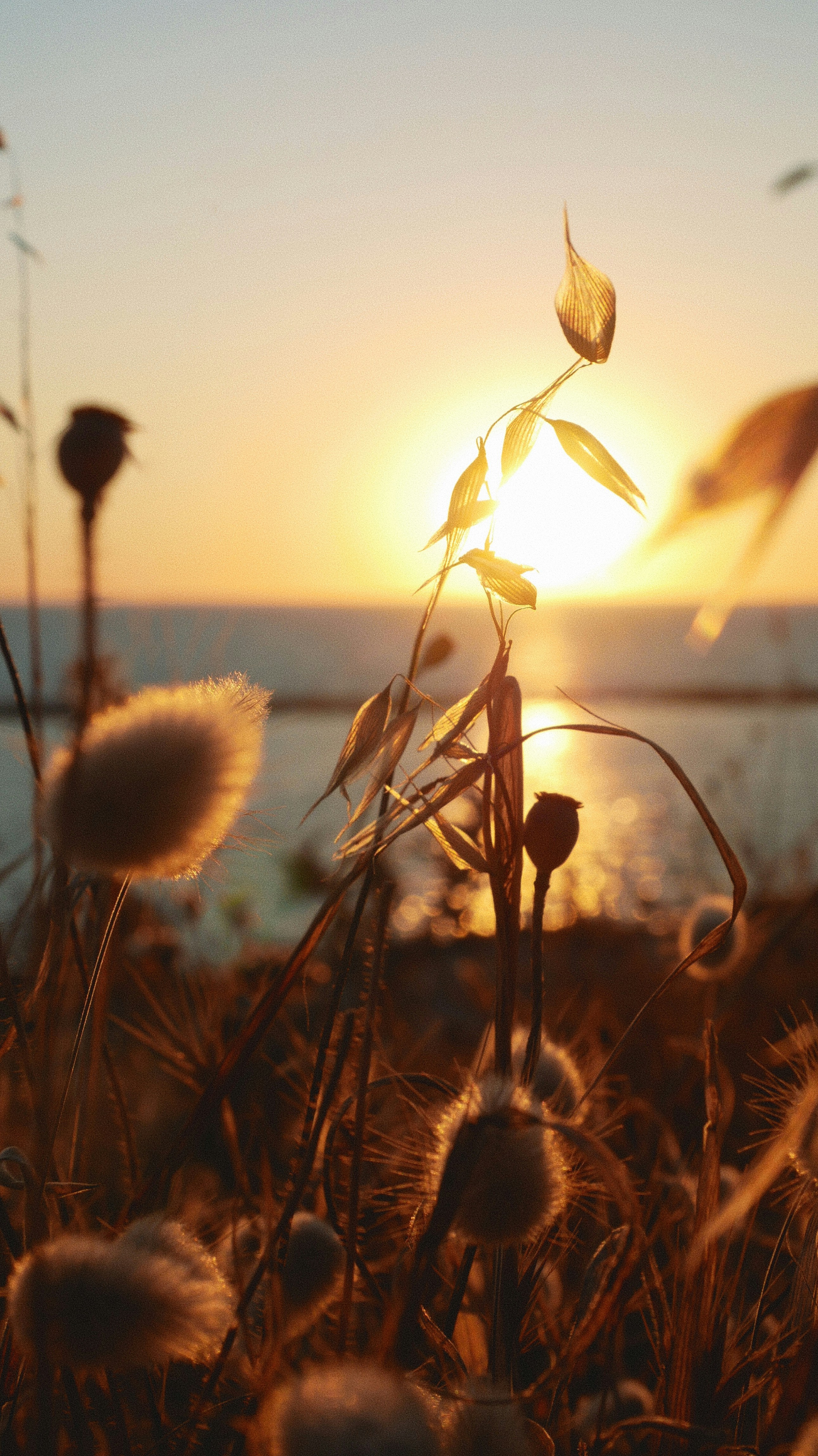 Photo by ruggeroguttilla