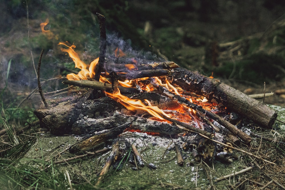 a fire burning in the woods