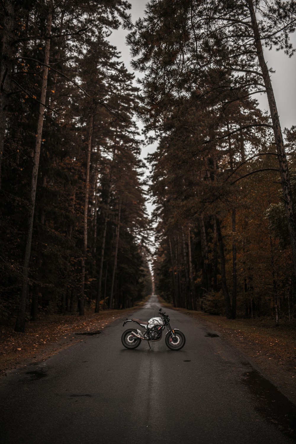 a motorcycle parked on a road
