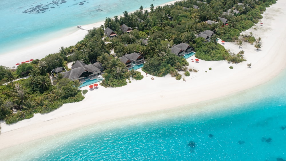 a beach with houses and trees