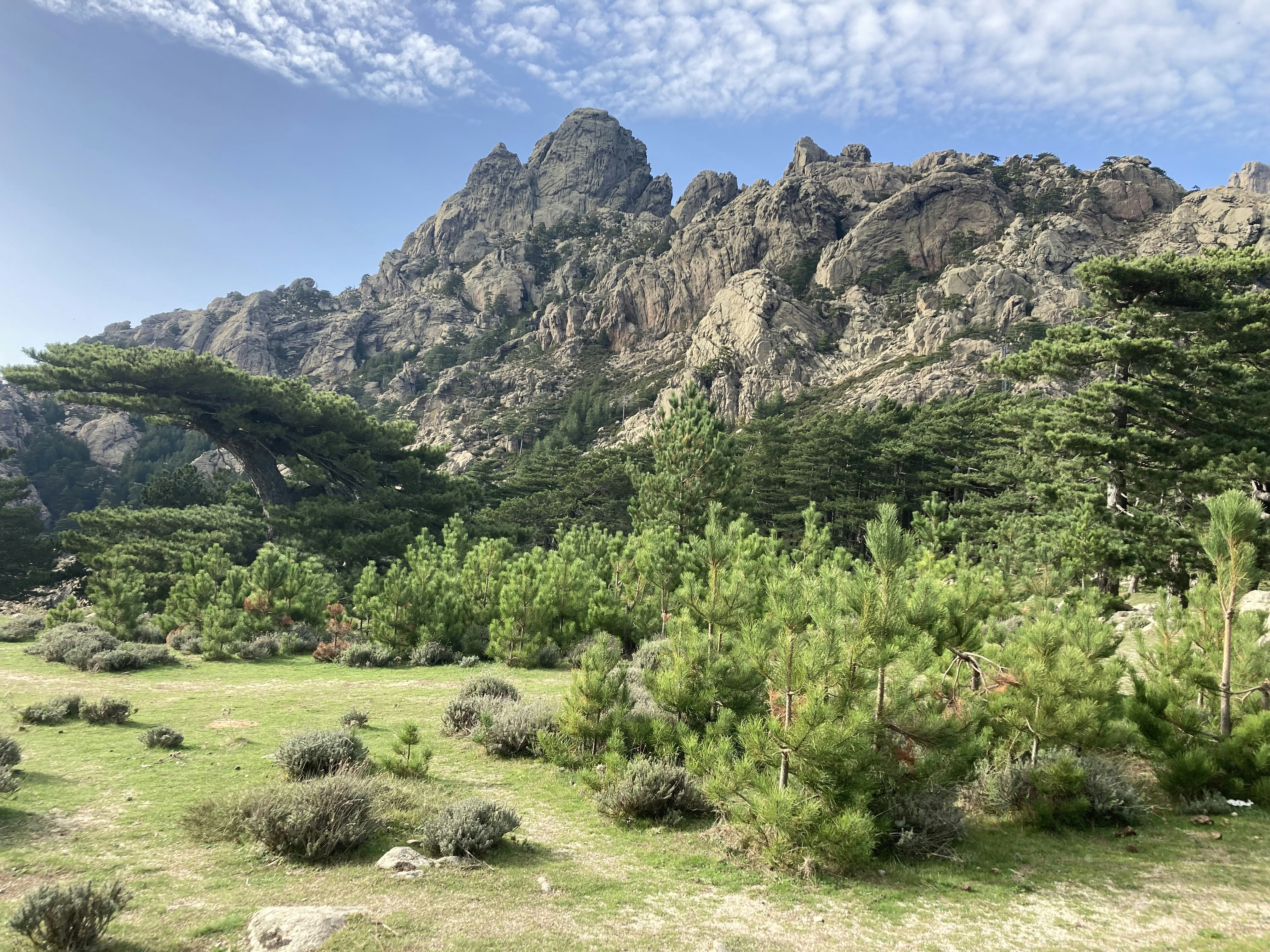 Photo by musicperson