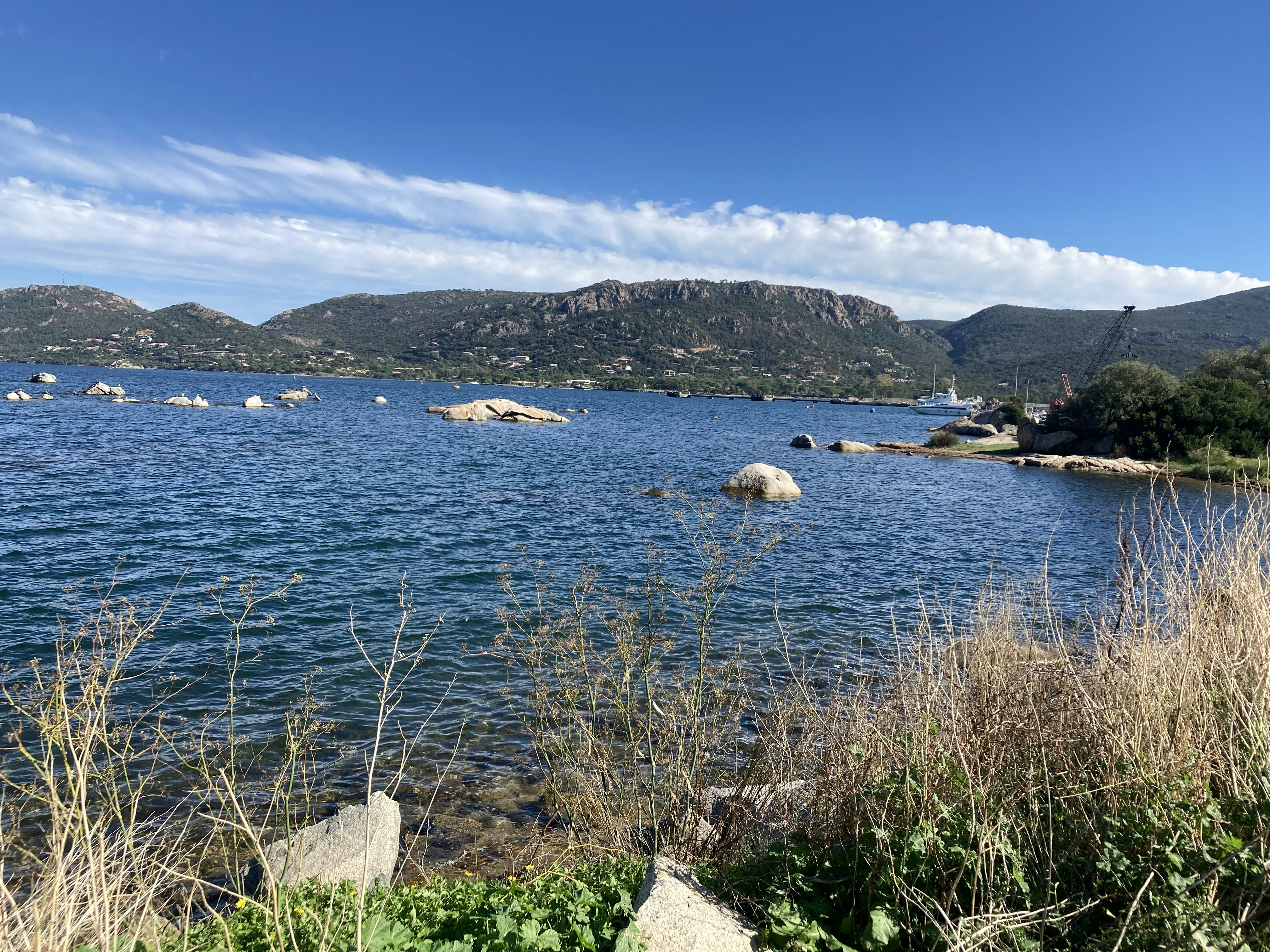 Photo by musicperson