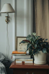 Neat bedside table with a reading lamp and a small plant.