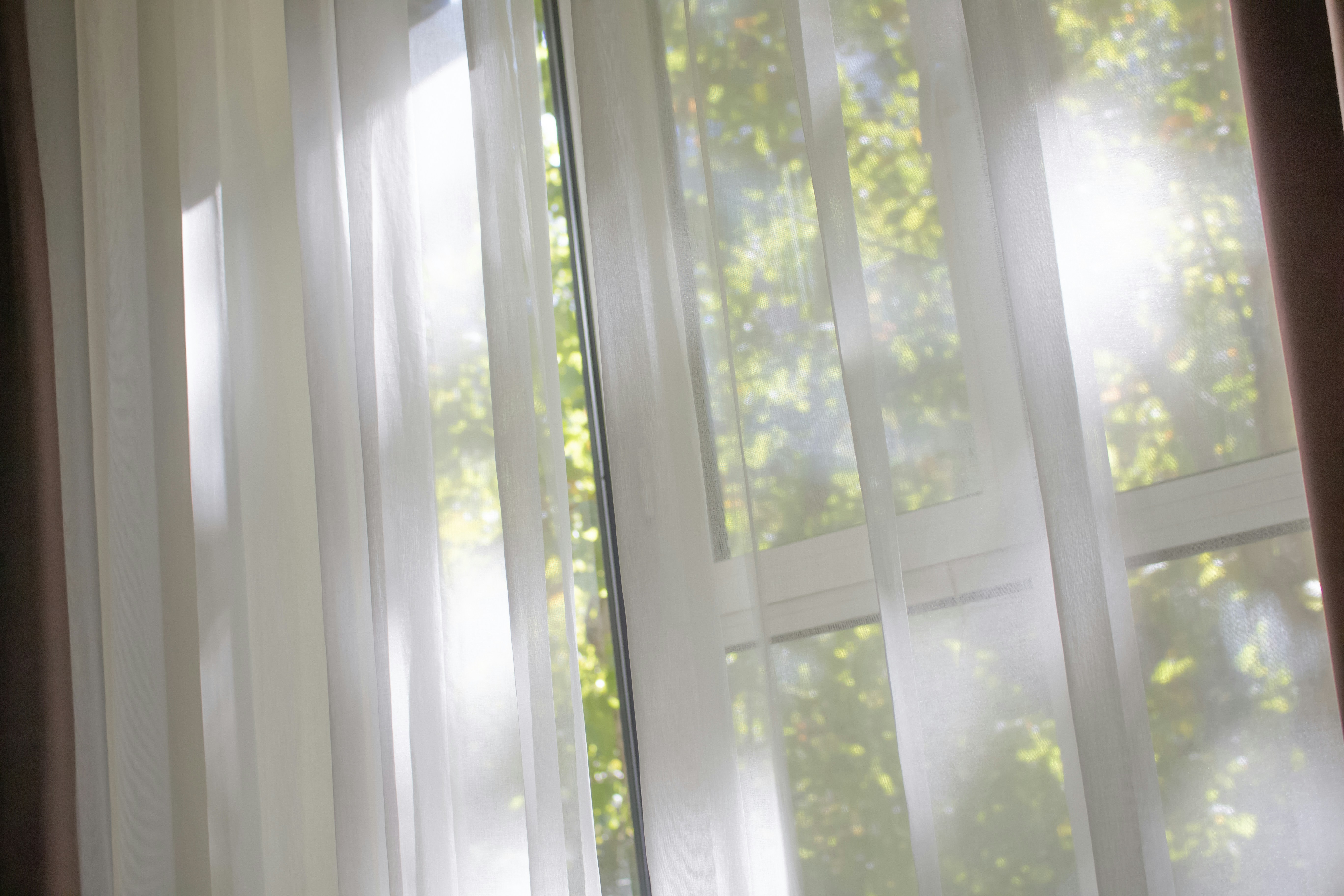a window with a view of trees