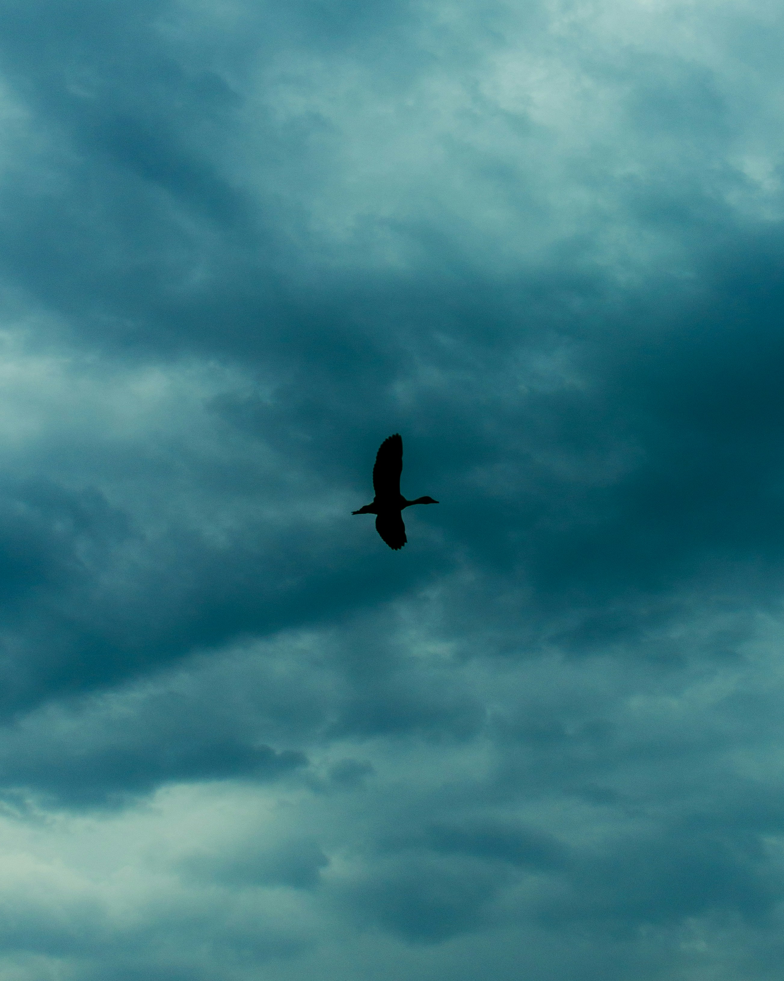 Photo by brajendra_lens_a_lot_