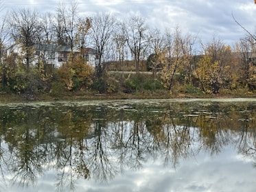 professionelle Reflexion & Coaching-Fragen