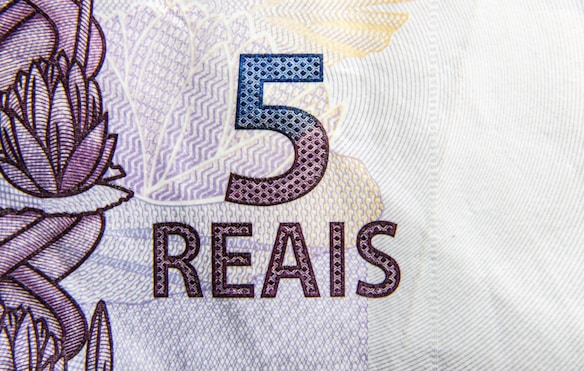 A close-up view of a Brazilian 5 reais banknote featuring intricate designs and patterns. The number '5' is prominently displayed in blue, with the word 'REAIS' below it in a stylized font. There are floral and geometric motifs in the background.
