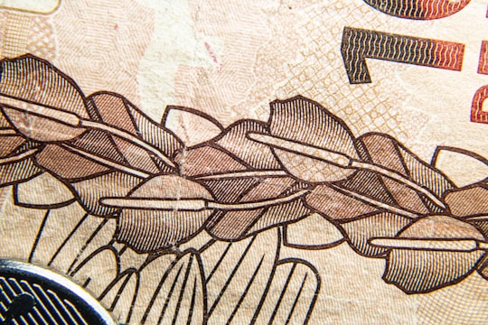 Intricate and detailed patterns are displayed, reminiscent of security features on currency. The design includes a series of overlapping shapes with fine lines, likely indicative of anti-counterfeiting measures.