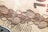 Intricate and detailed patterns are displayed, reminiscent of security features on currency. The design includes a series of overlapping shapes with fine lines, likely indicative of anti-counterfeiting measures.