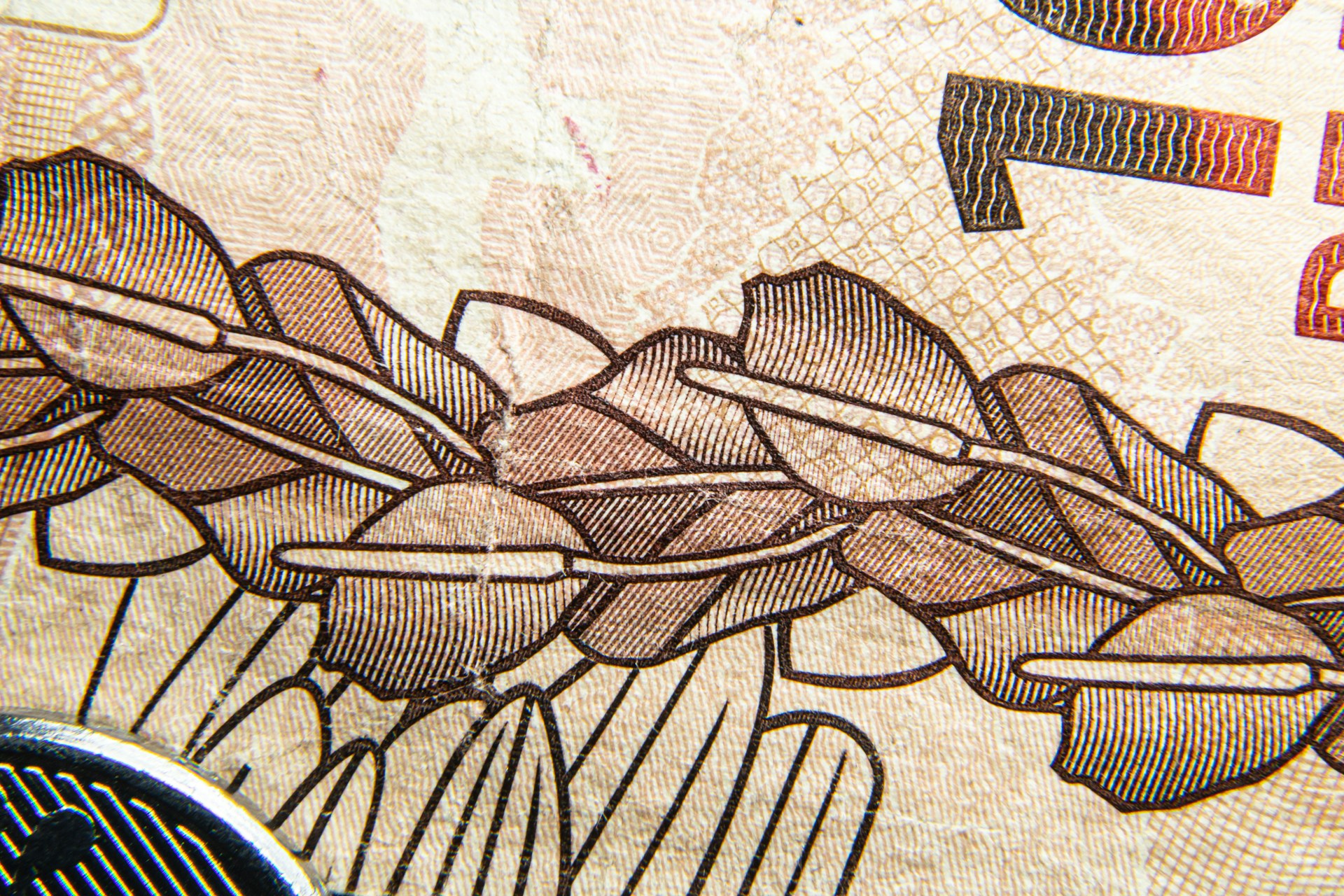 Intricate and detailed patterns are displayed, reminiscent of security features on currency. The design includes a series of overlapping shapes with fine lines, likely indicative of anti-counterfeiting measures.