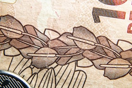 Intricate and detailed patterns are displayed, reminiscent of security features on currency. The design includes a series of overlapping shapes with fine lines, likely indicative of anti-counterfeiting measures.