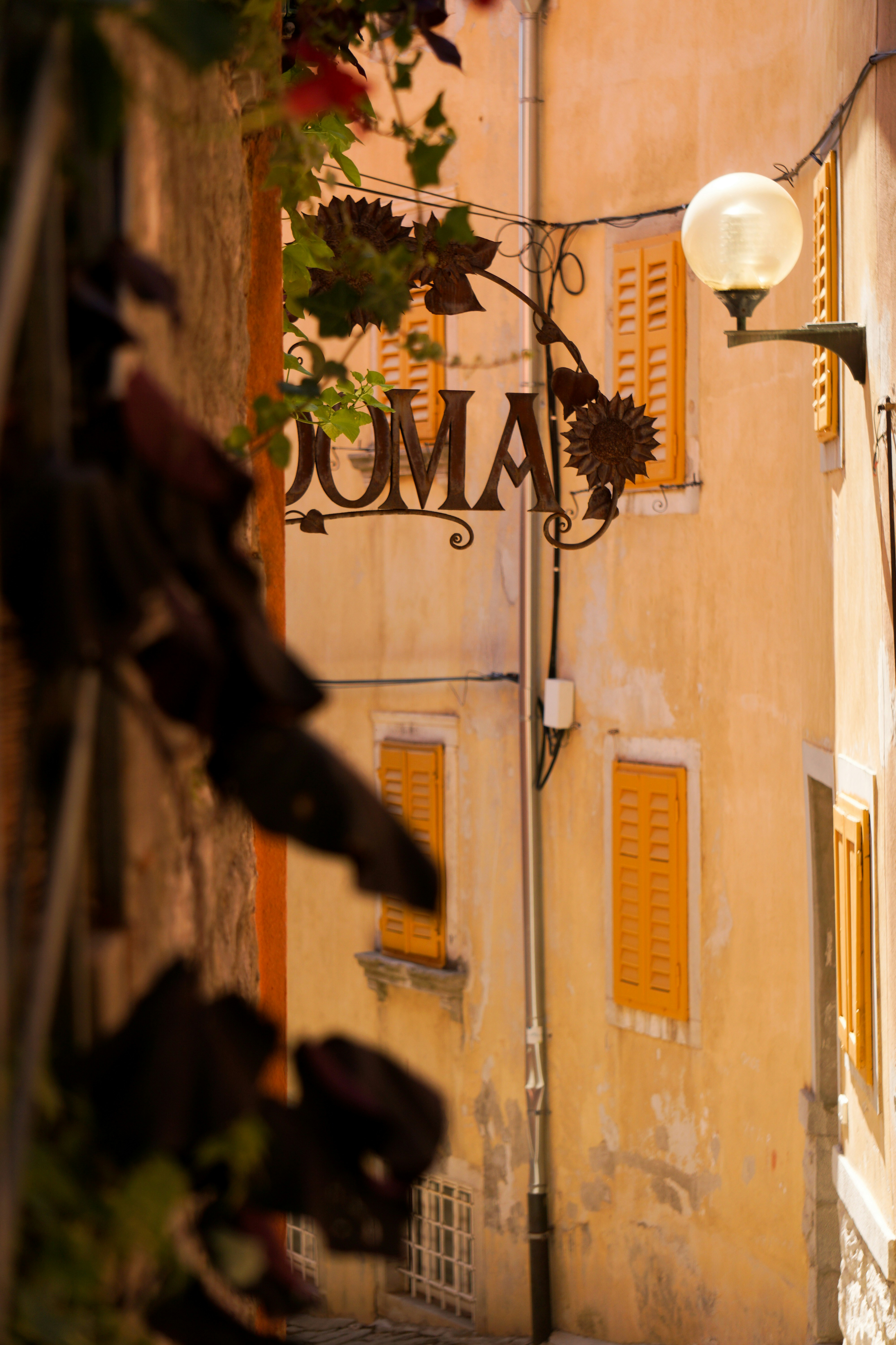 Ein Baum neben einem Gebäude