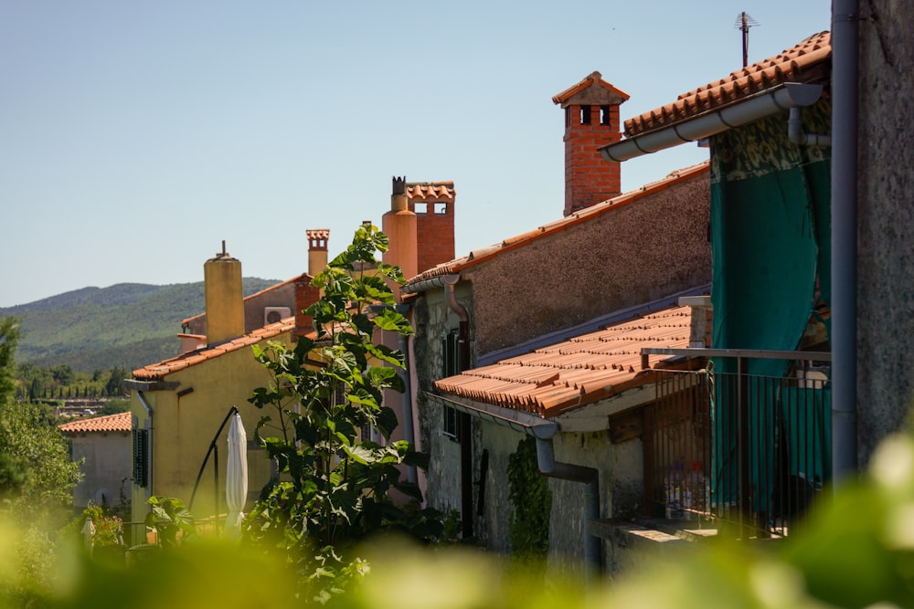 a house with a fence and trees