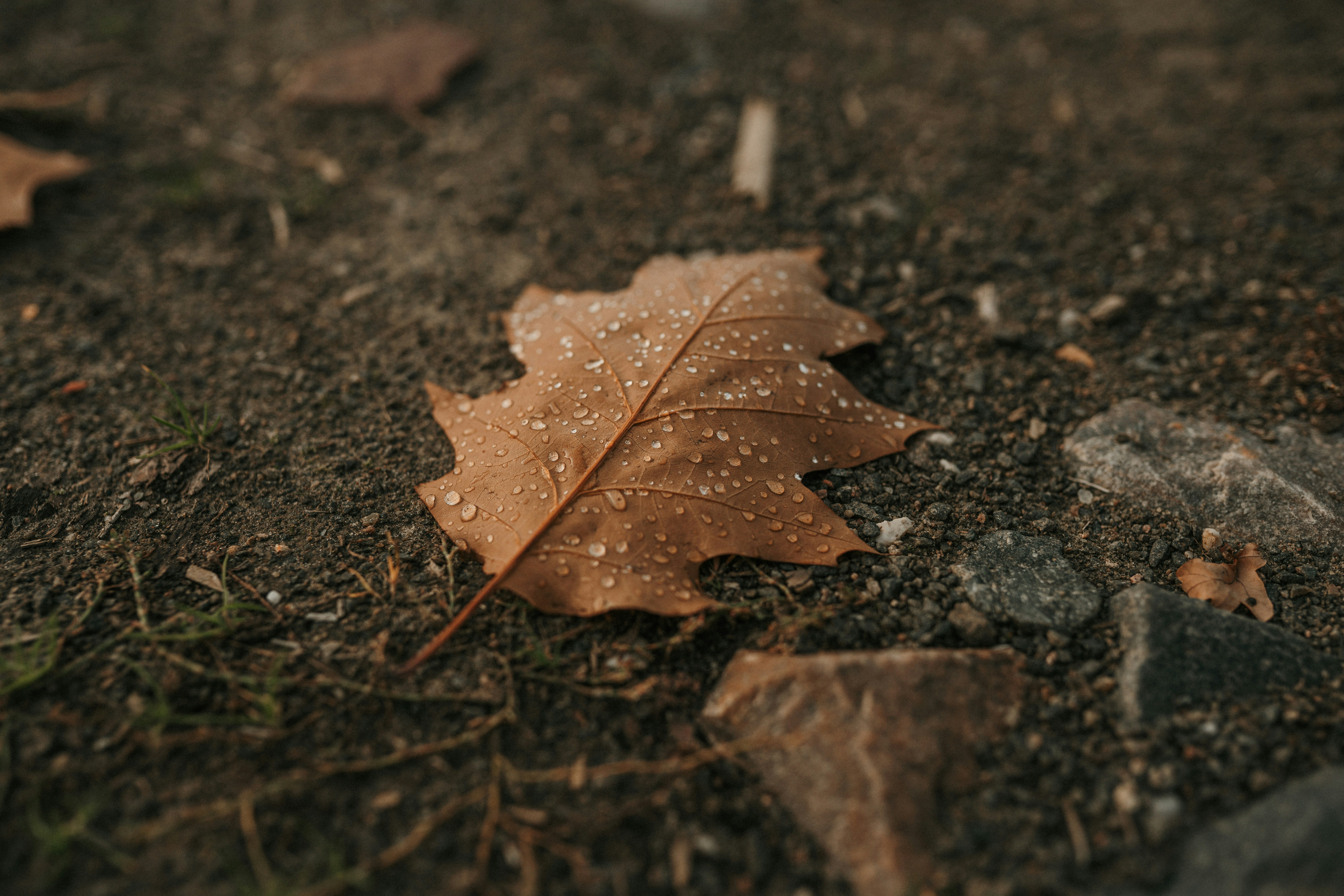 Photo by luiseandnic