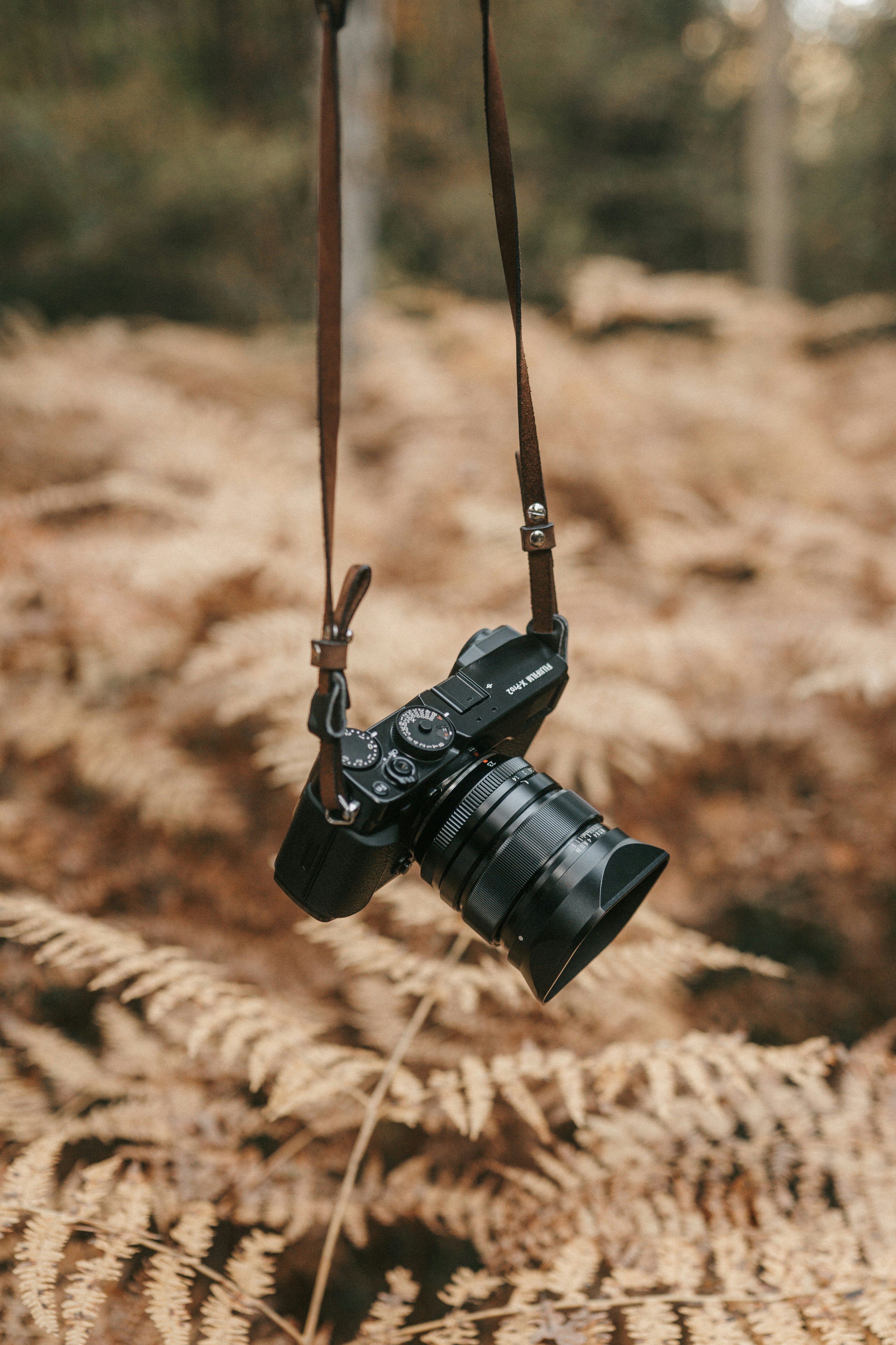 Photo by luiseandnic