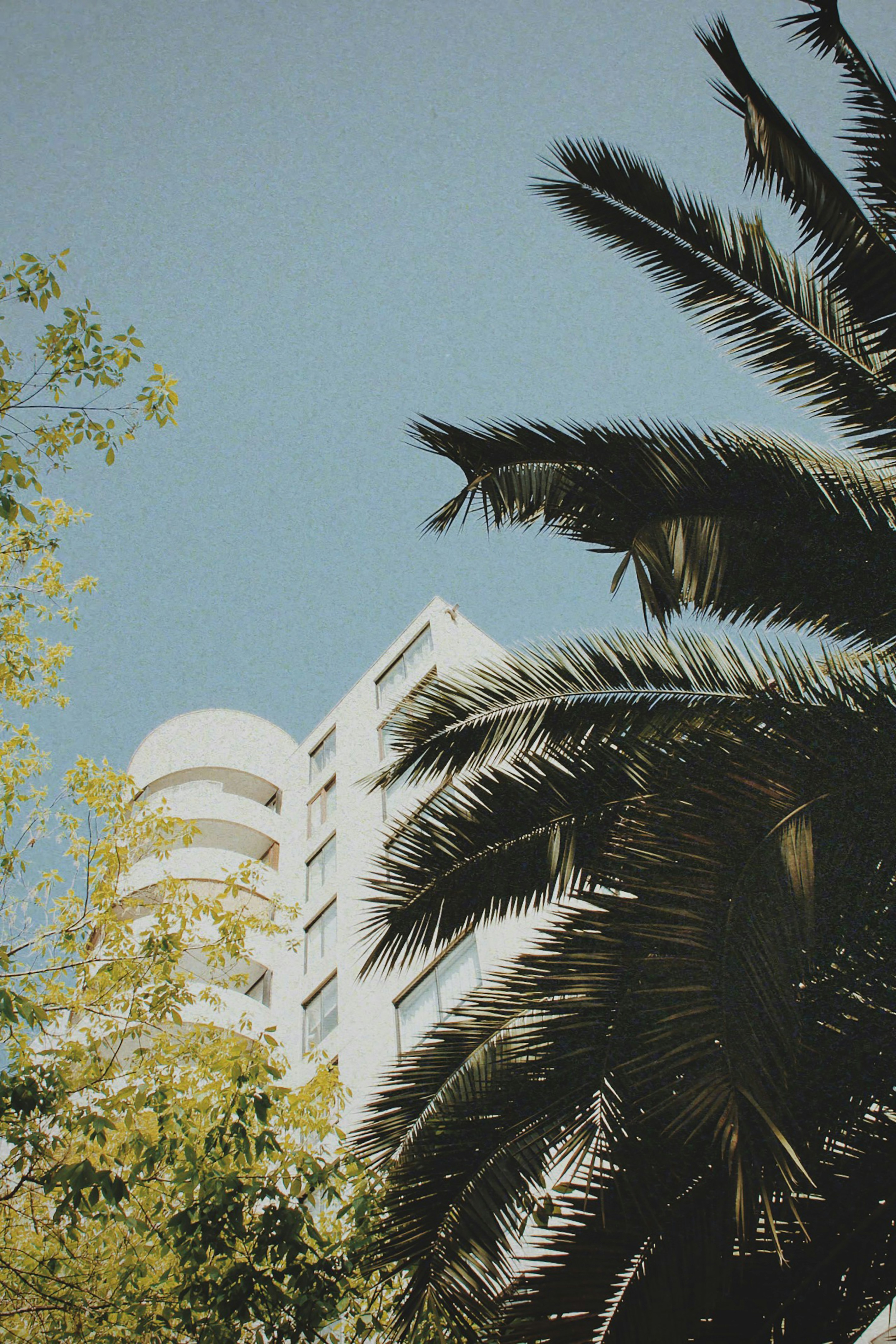Photo by zsvm