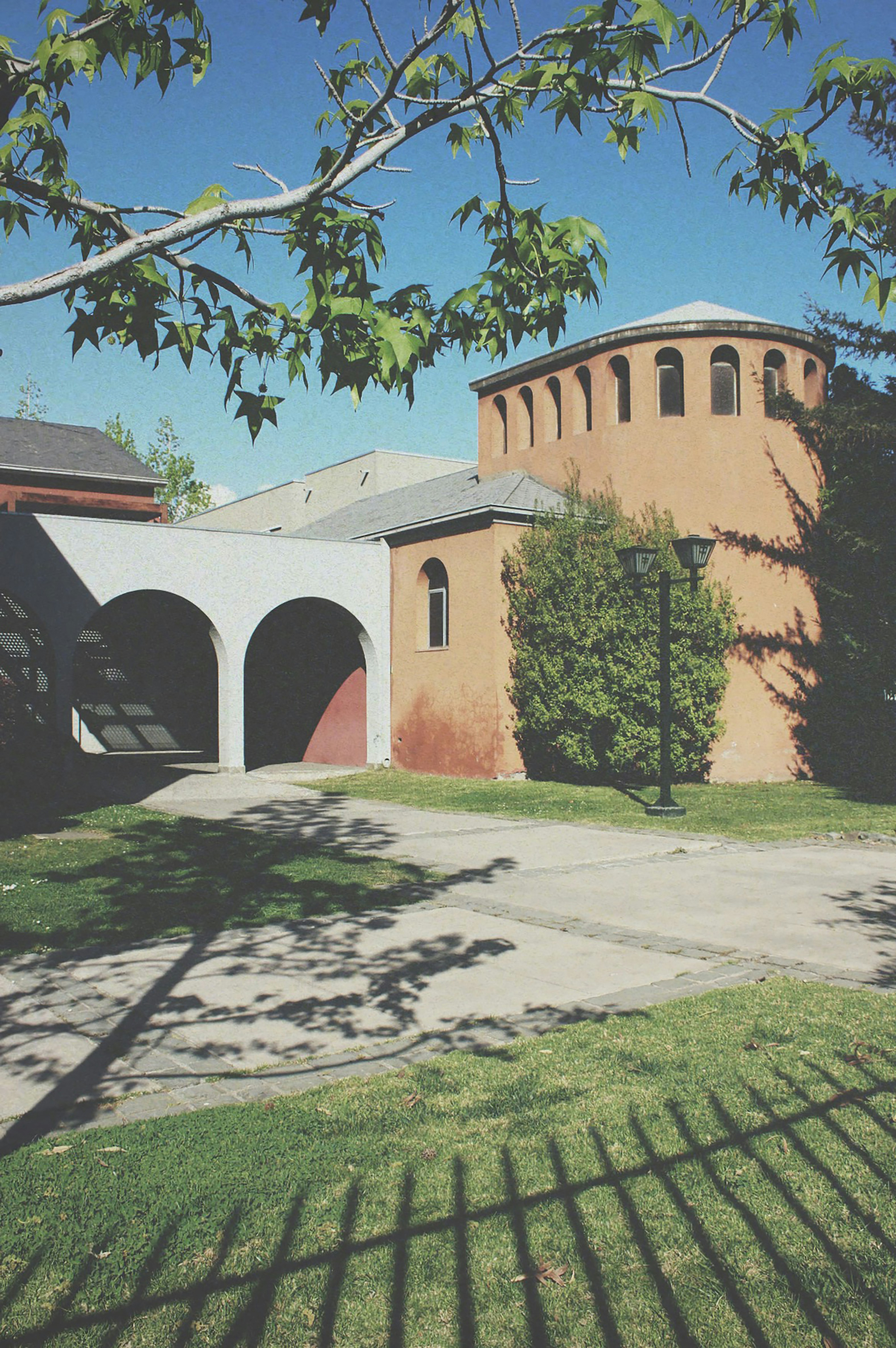 Photo by zsvm