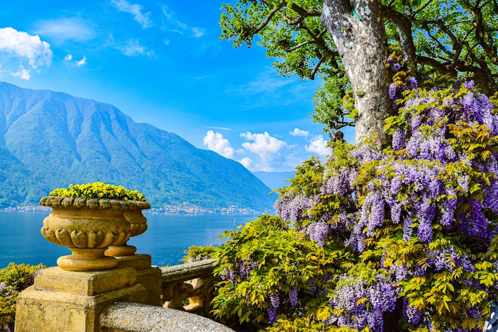 a fountain with flowers and trees by a body of water