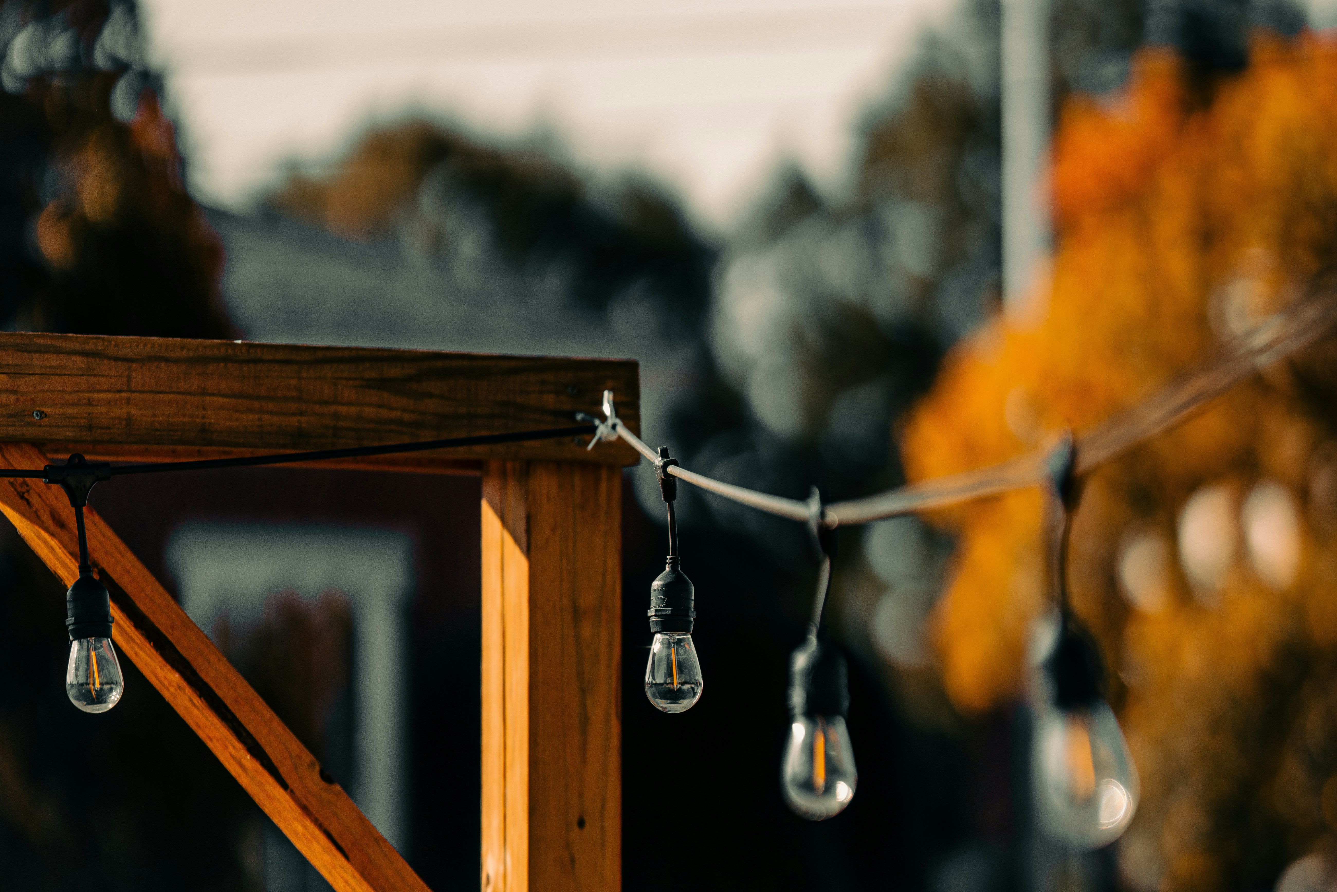 Photo by colemangloverphotography