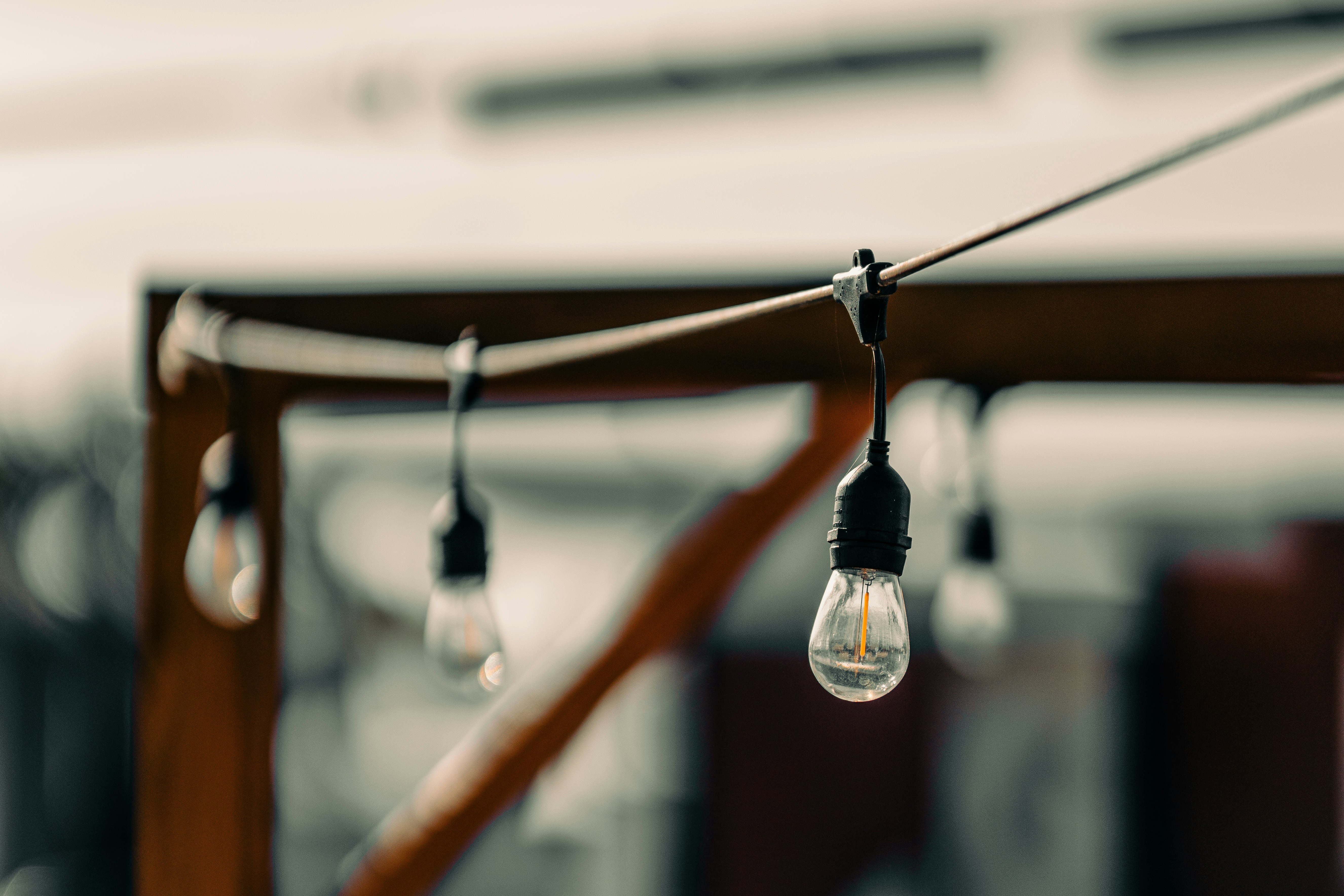 Photo by colemangloverphotography