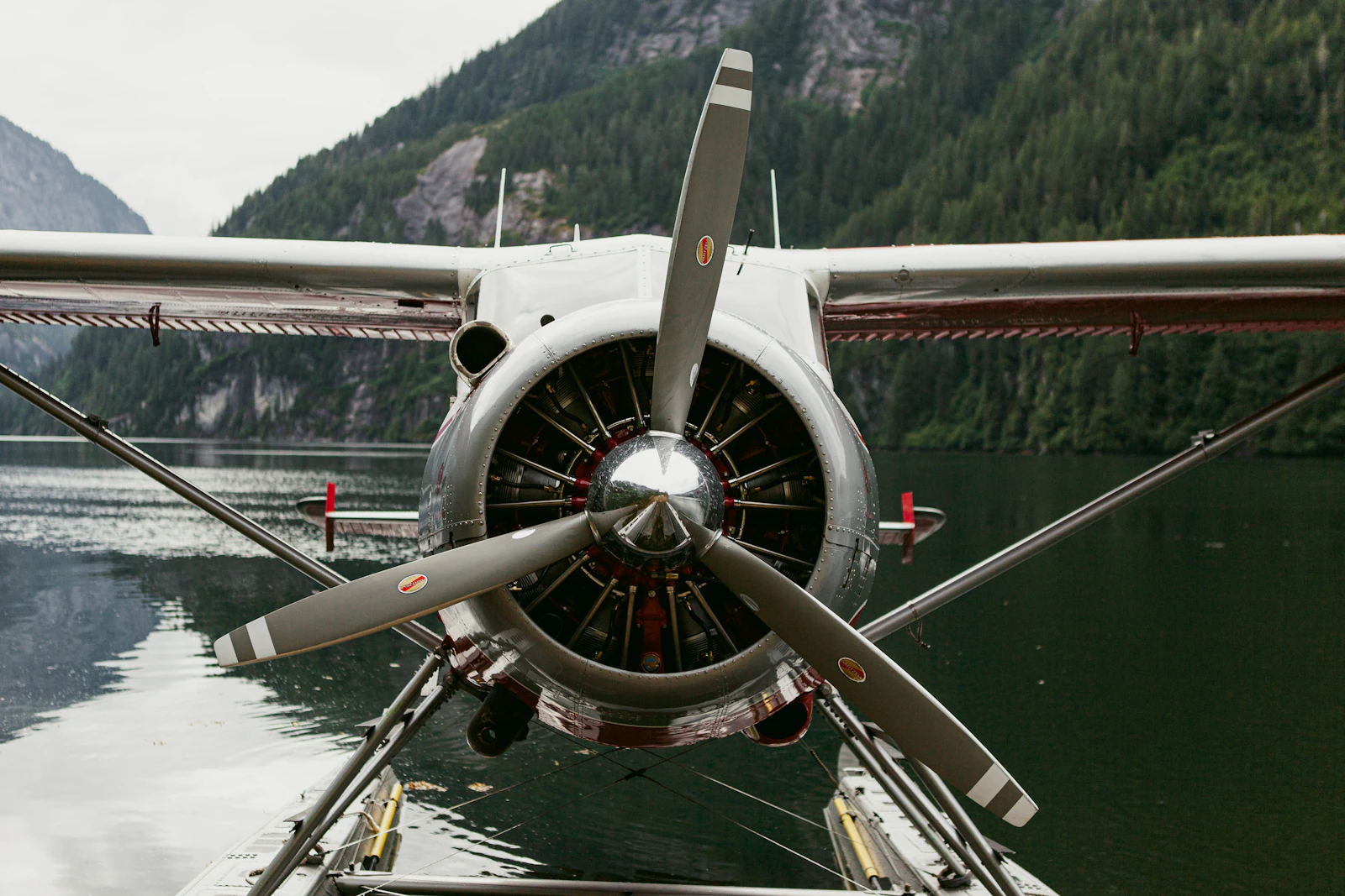 Propeller and engine of a floatplane