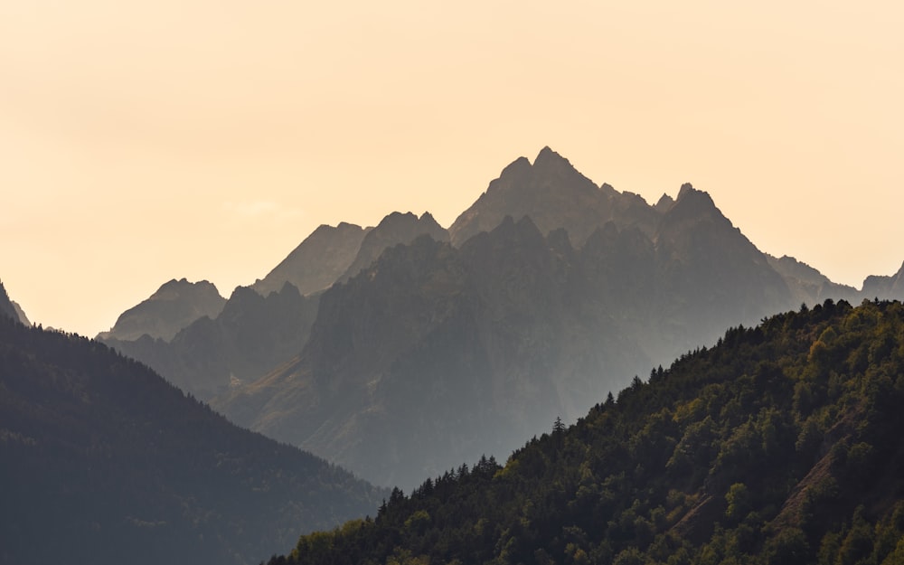 a mountain range with trees