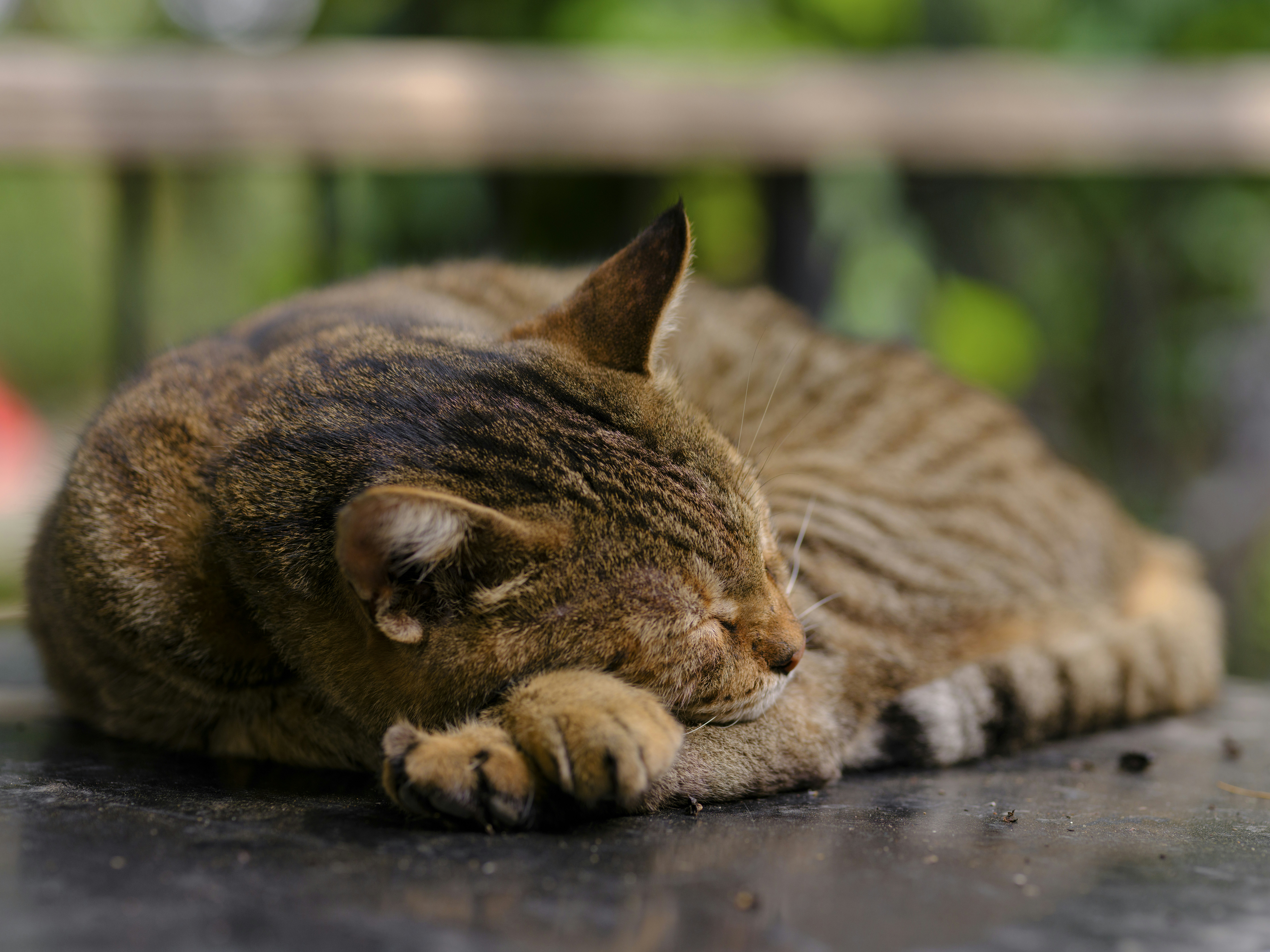 Photo by enginakyurt