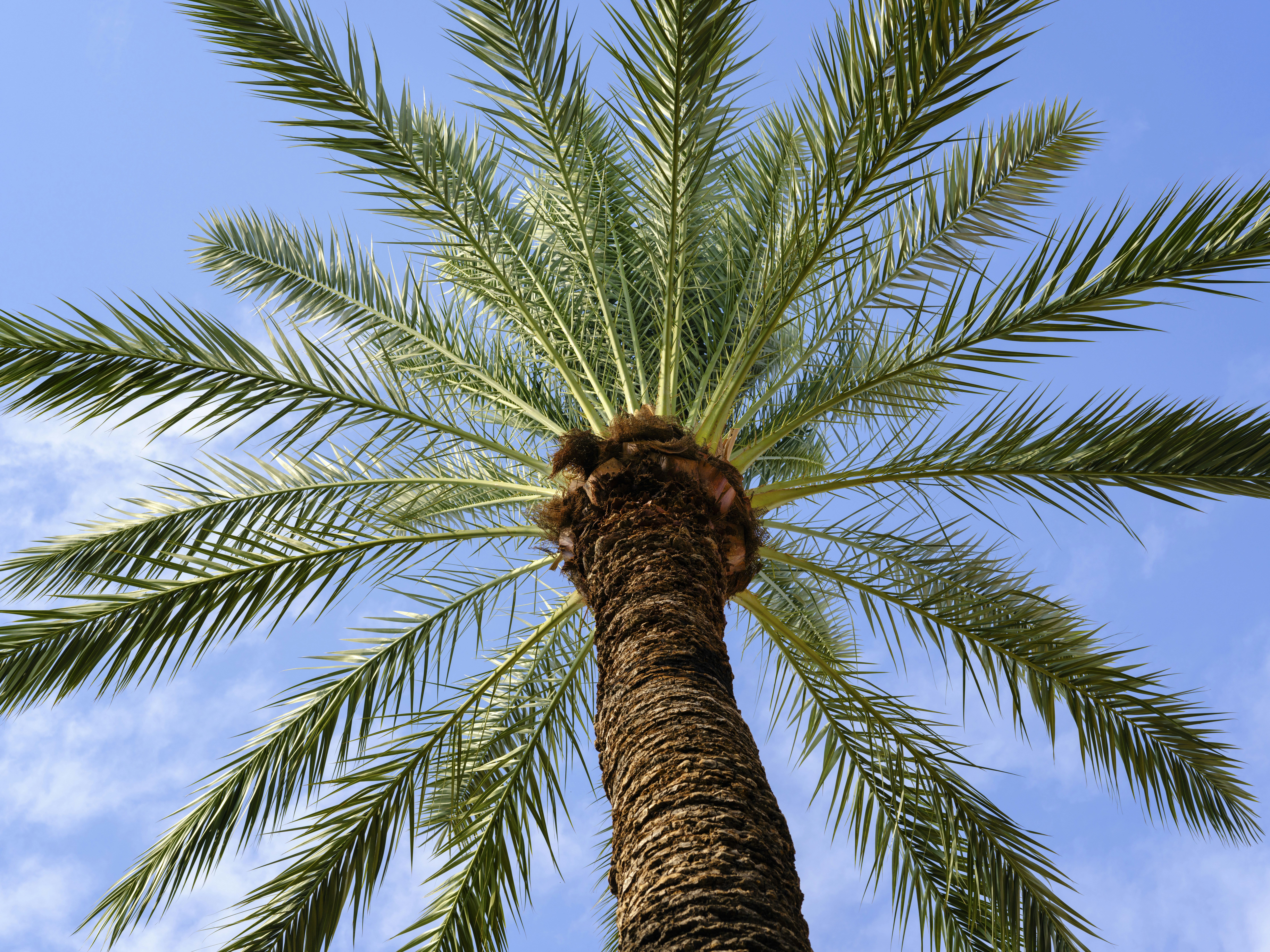 Photo by enginakyurt