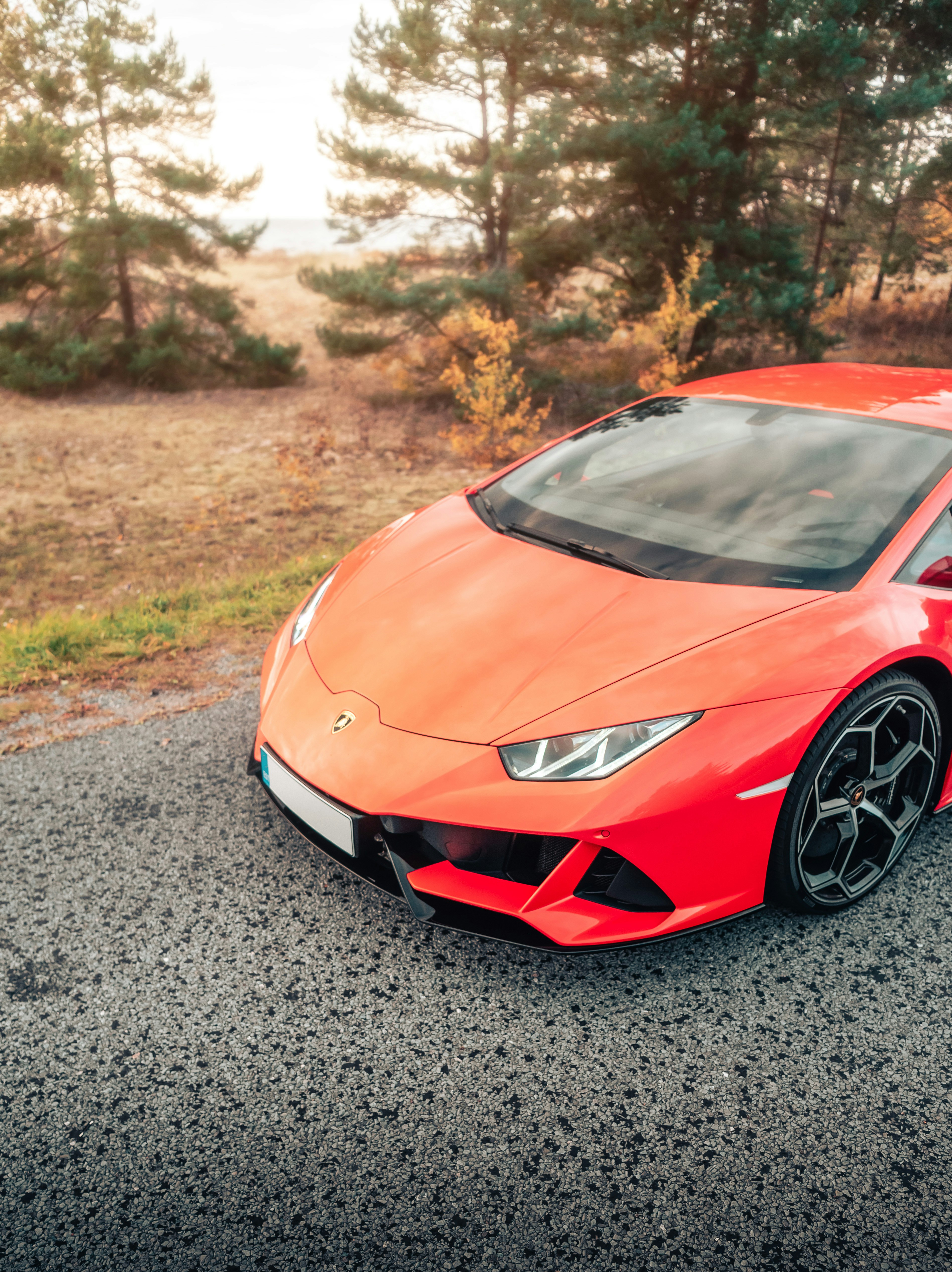 Photo by blacklist_tln