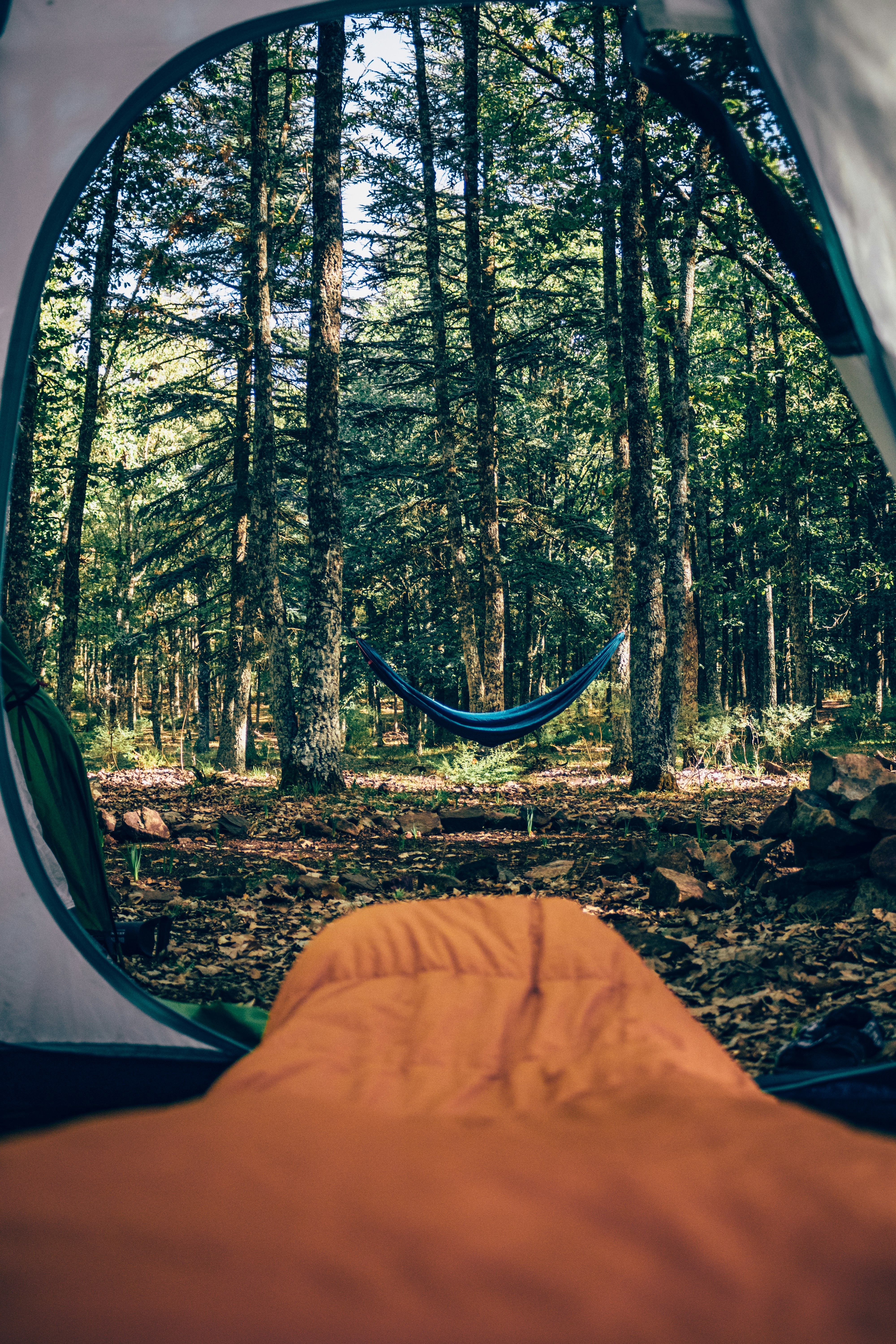 Photo by mounir_abdi