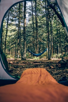 a person's foot in a forest