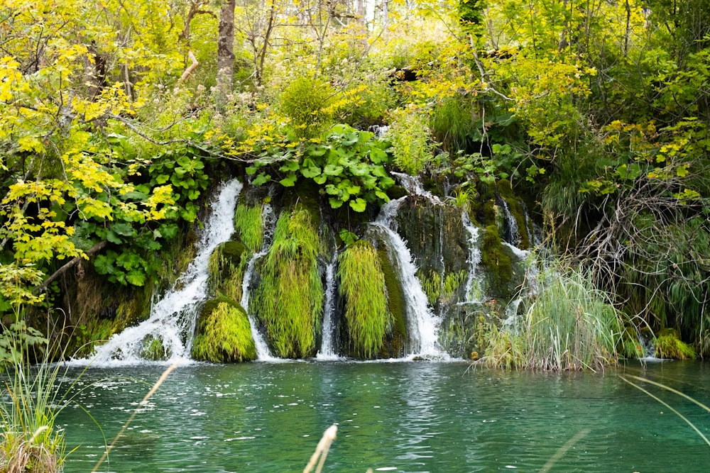 Plitvice Lakes National Park in a forest