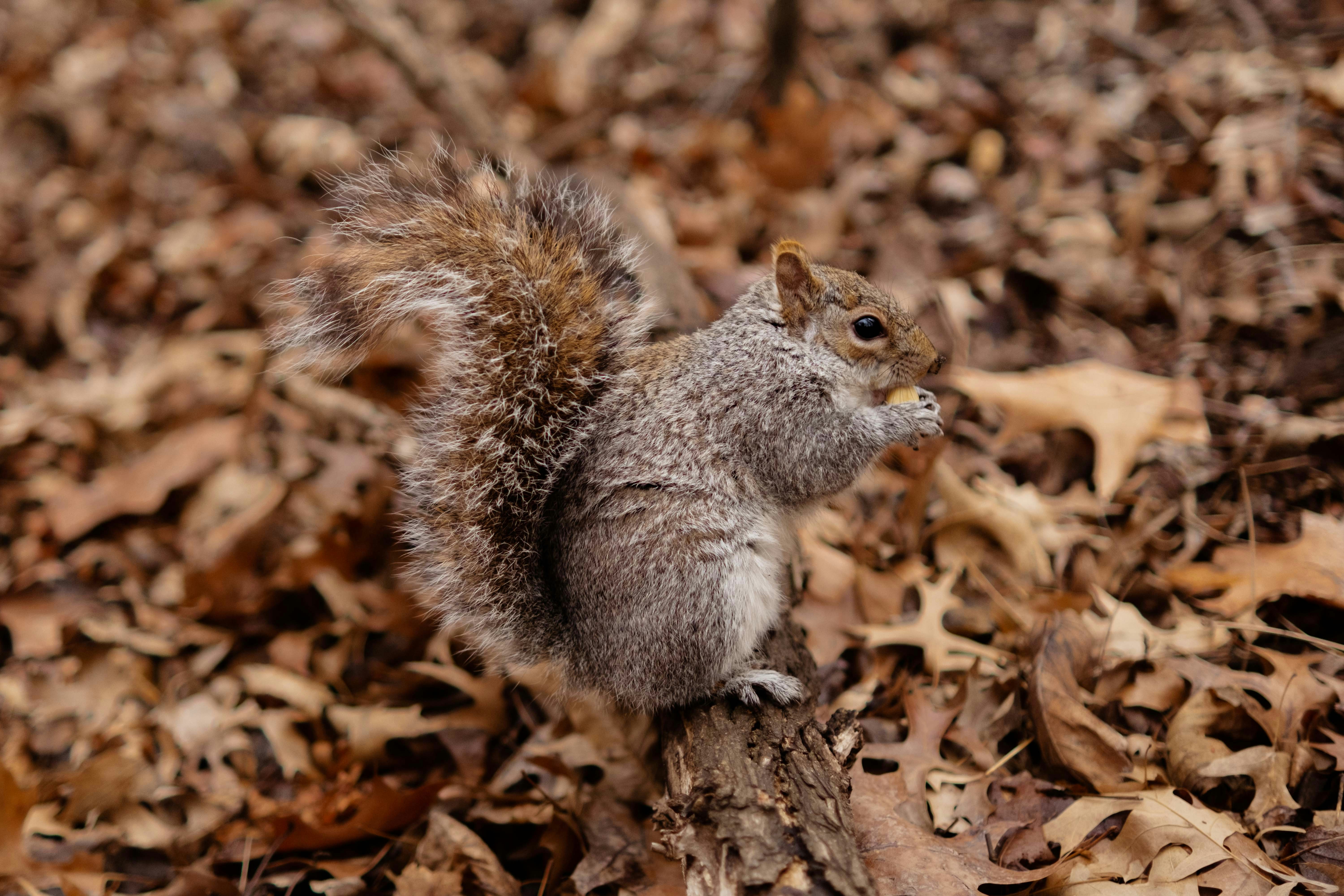 Photo by mariamiguelcardeiro