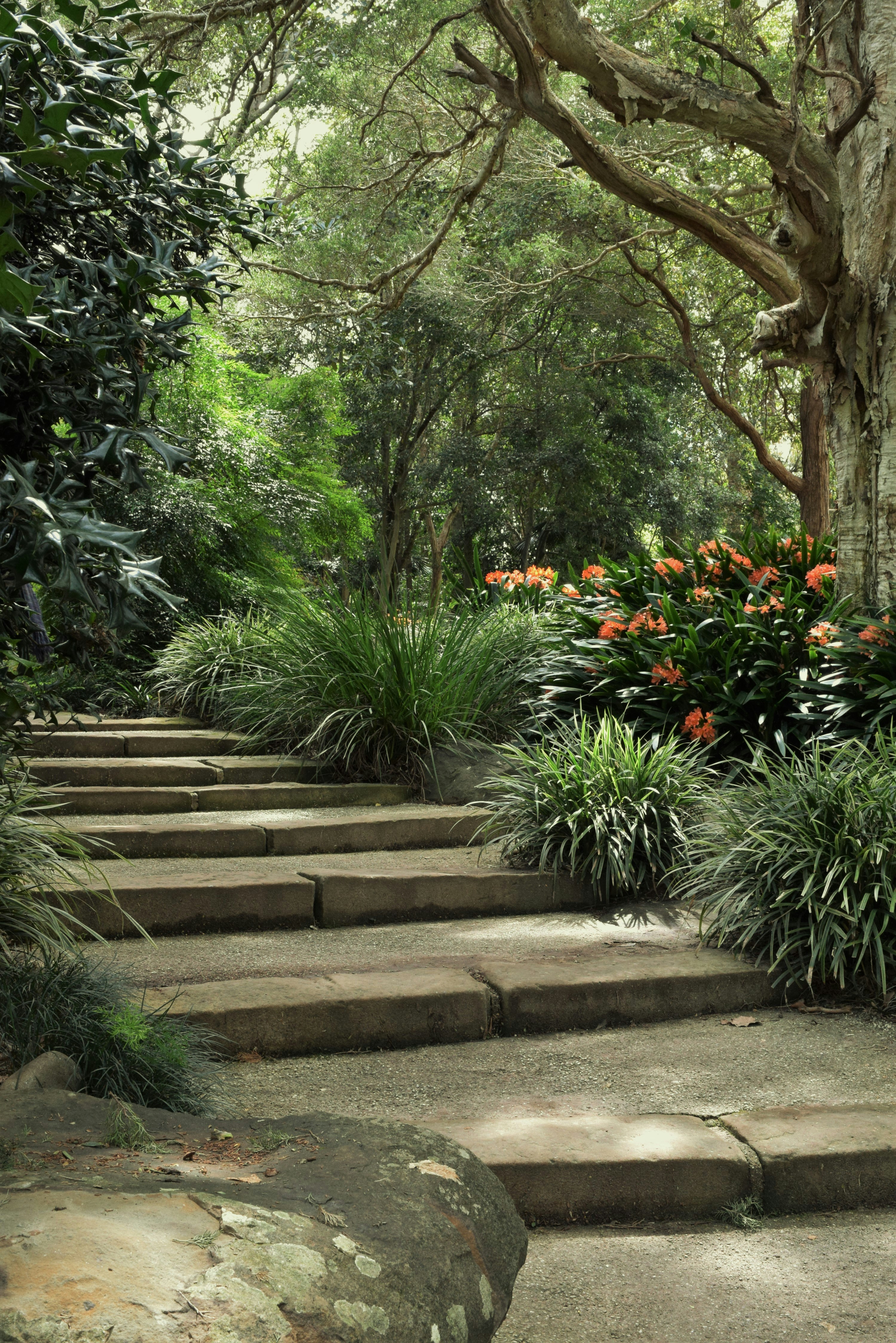 Photo by ch_photography