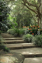 a stone staircase with plants and trees
