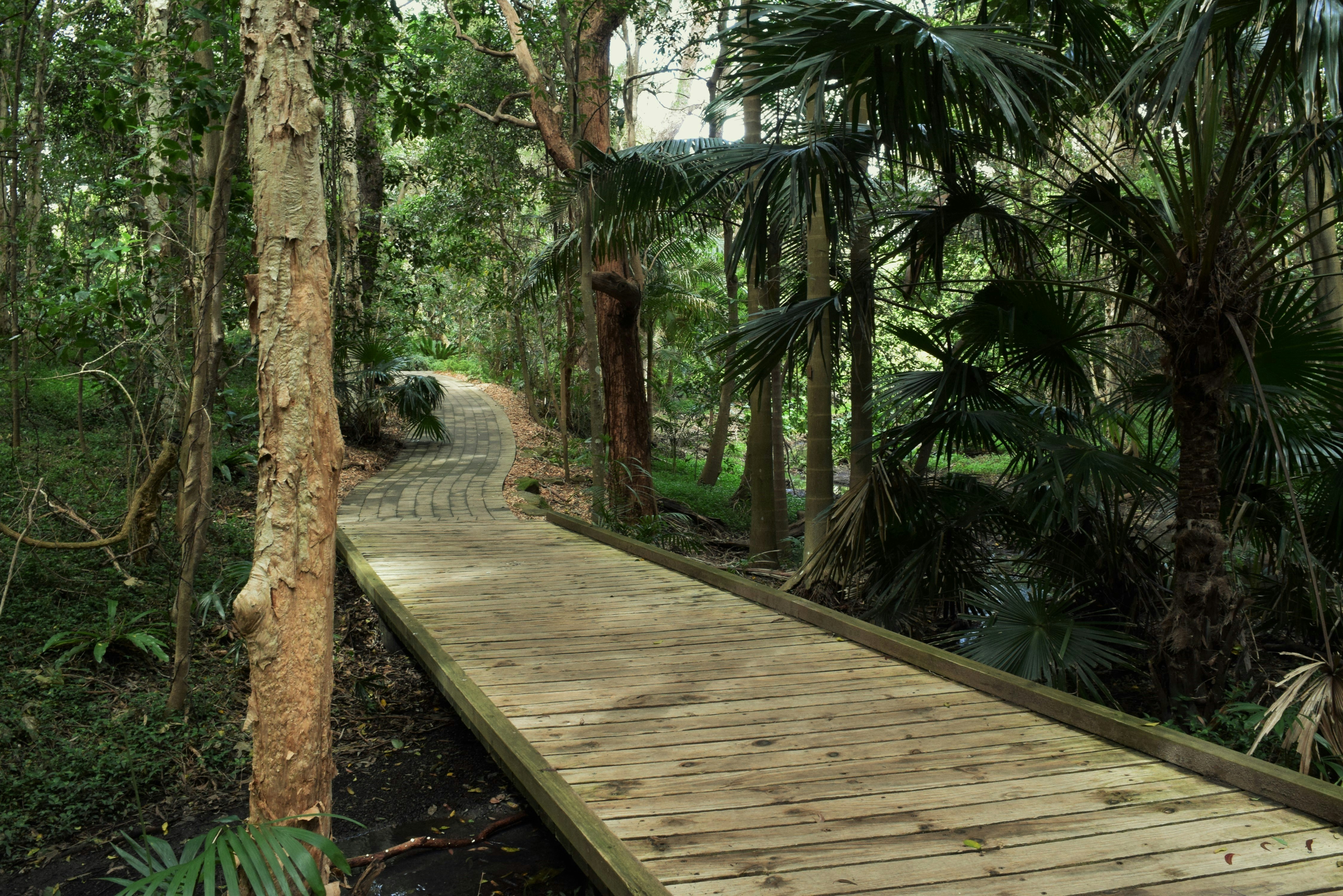 Photo by ch_photography