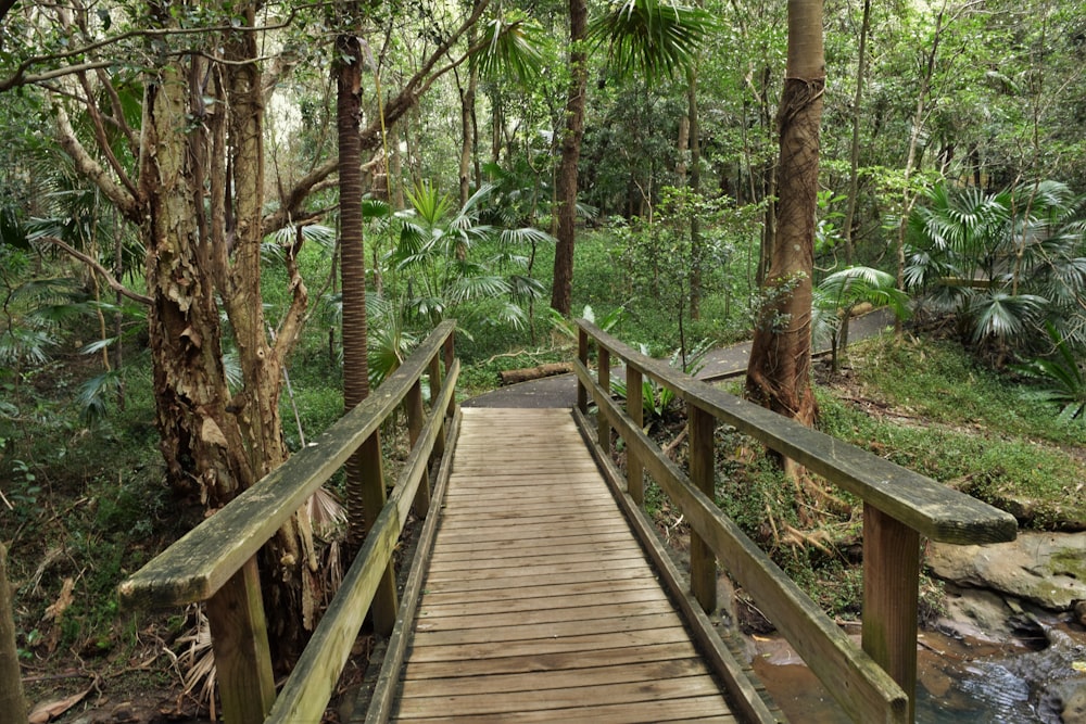 a wooden bridge in the middle of a forest