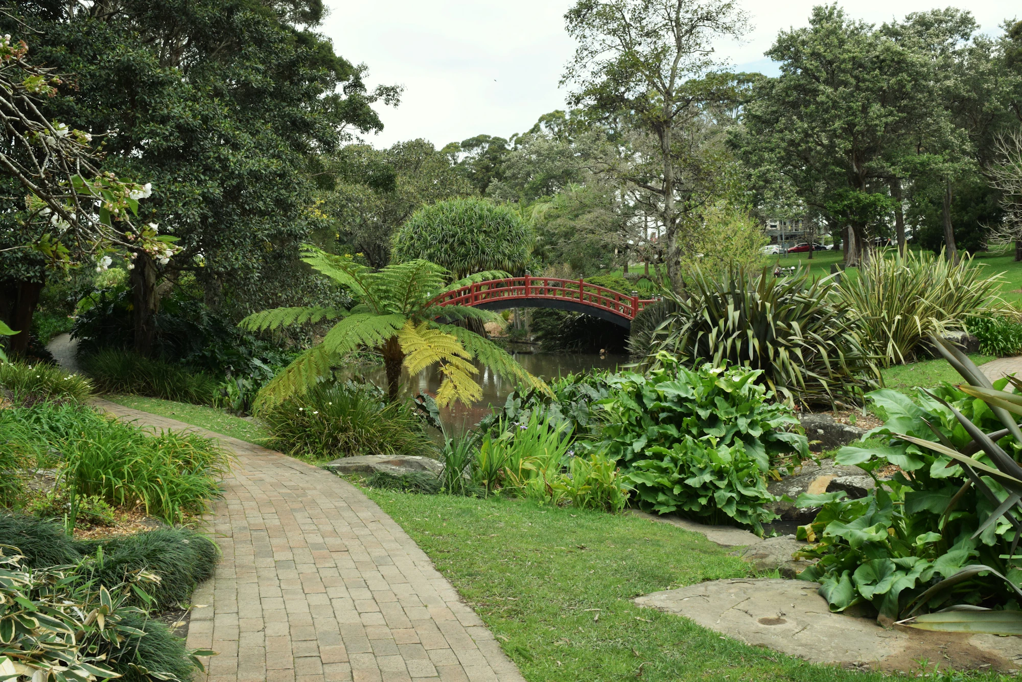 Garden path lined with plants and trees