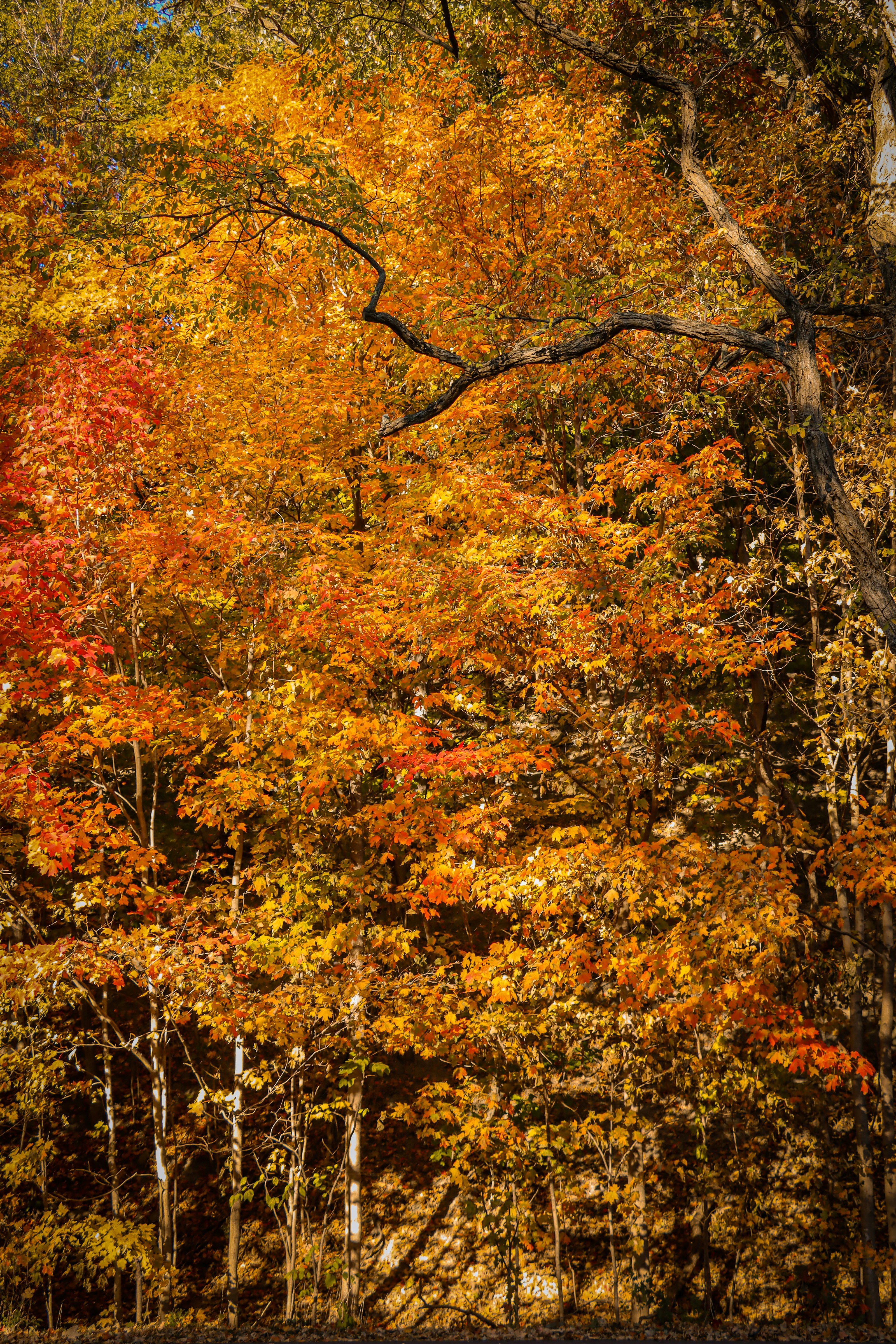 Photo by santiago_franco