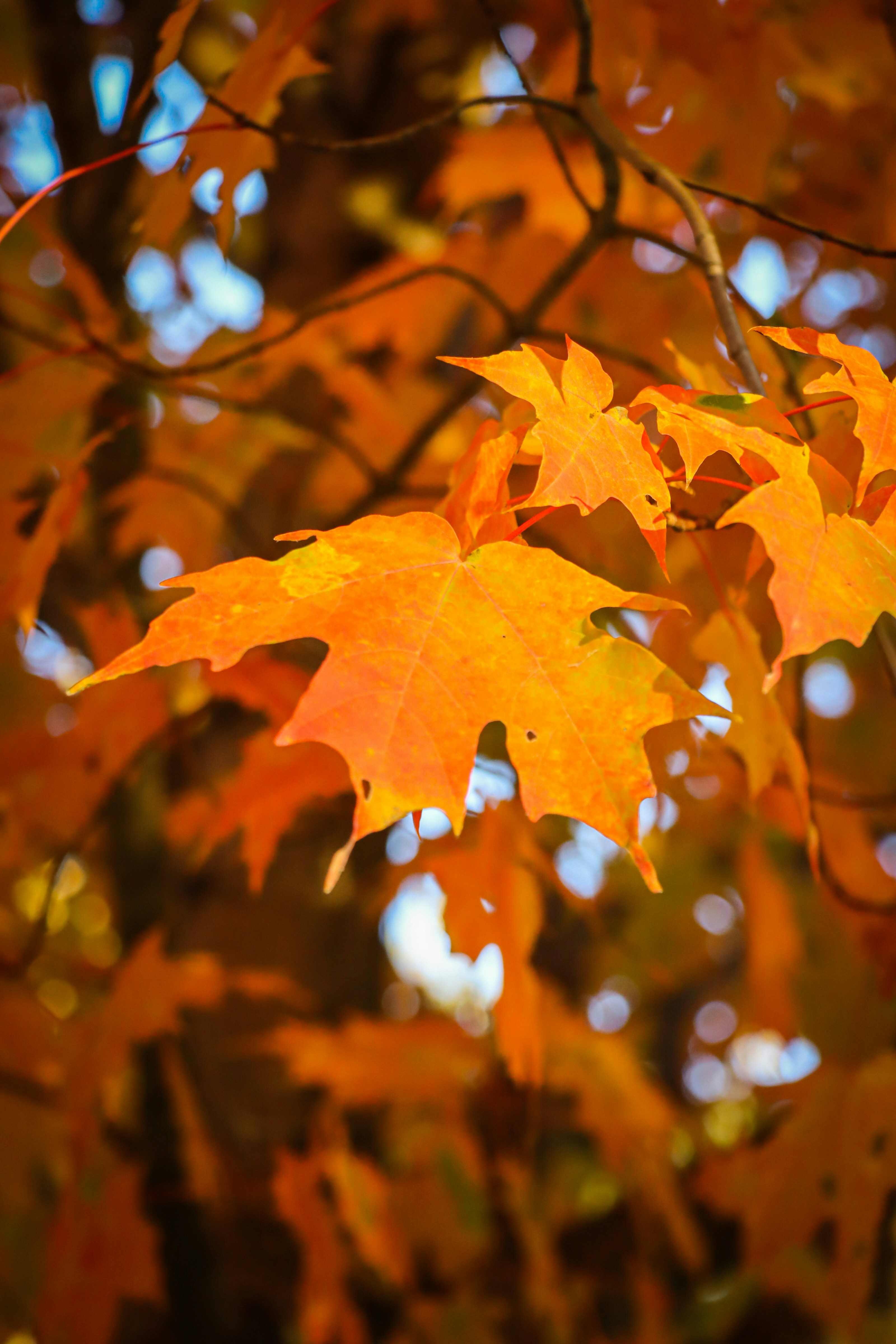 Photo by santiago_franco