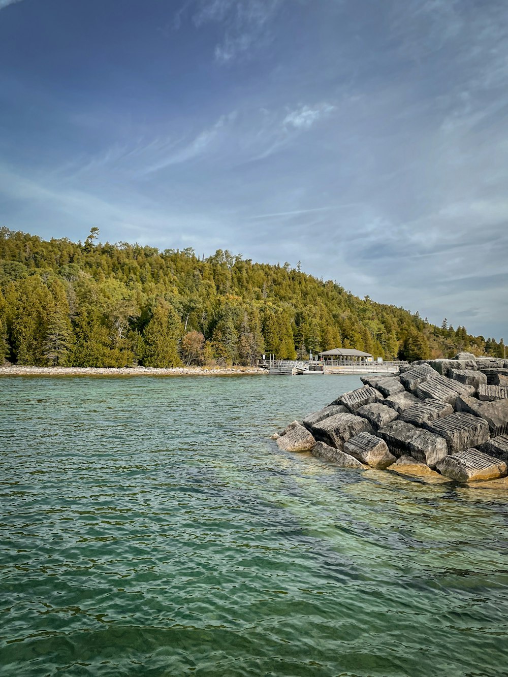 a body of water with rocks and trees in the background
