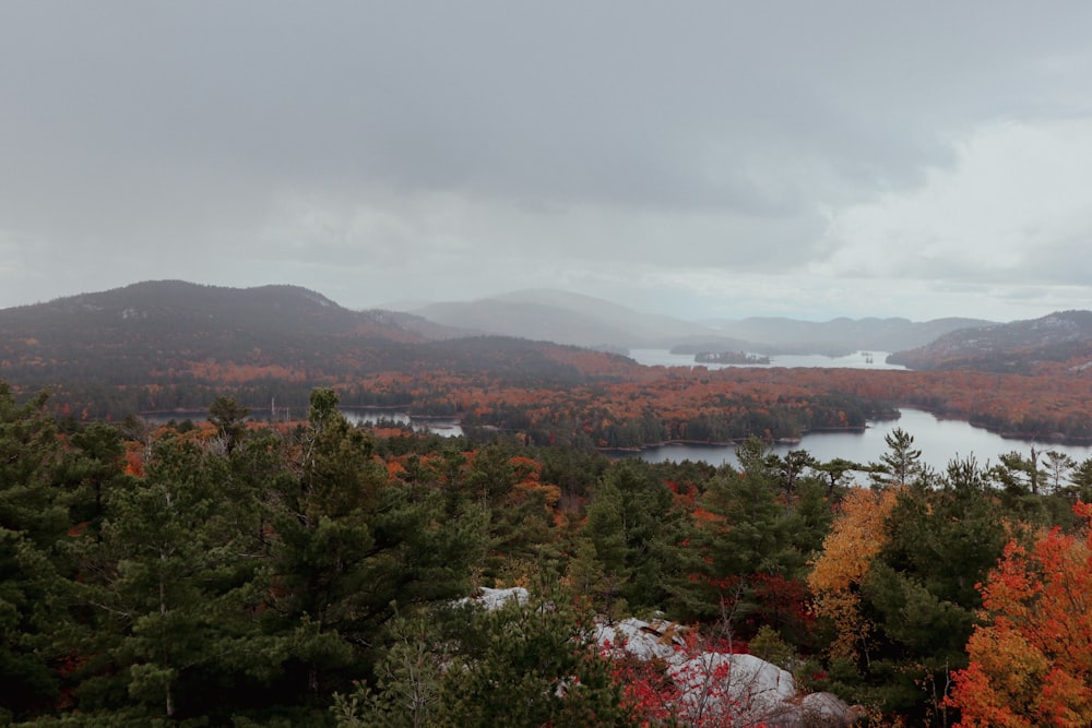 a landscape with trees and a body of water in the background