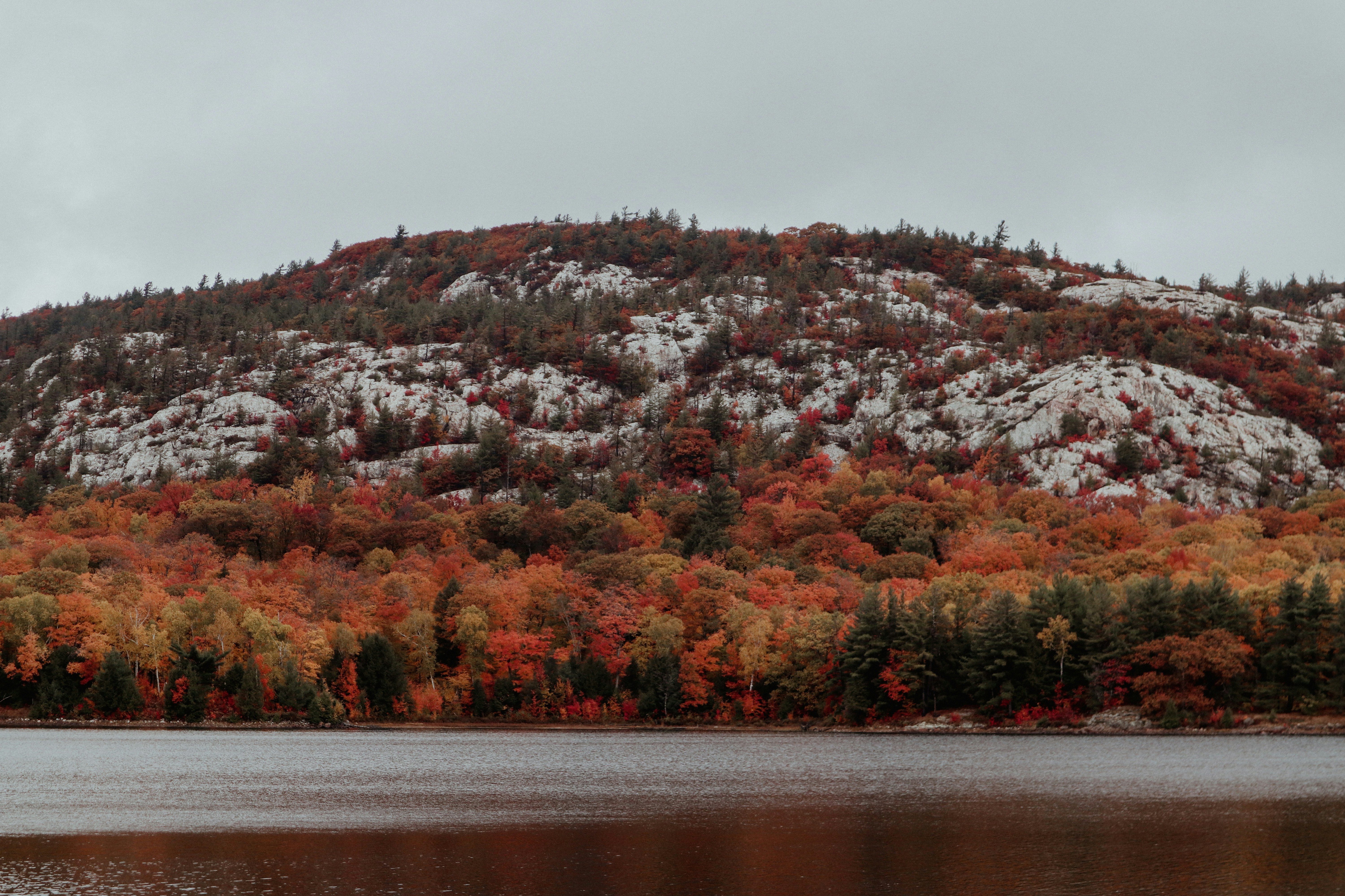 a body of water with trees on the side