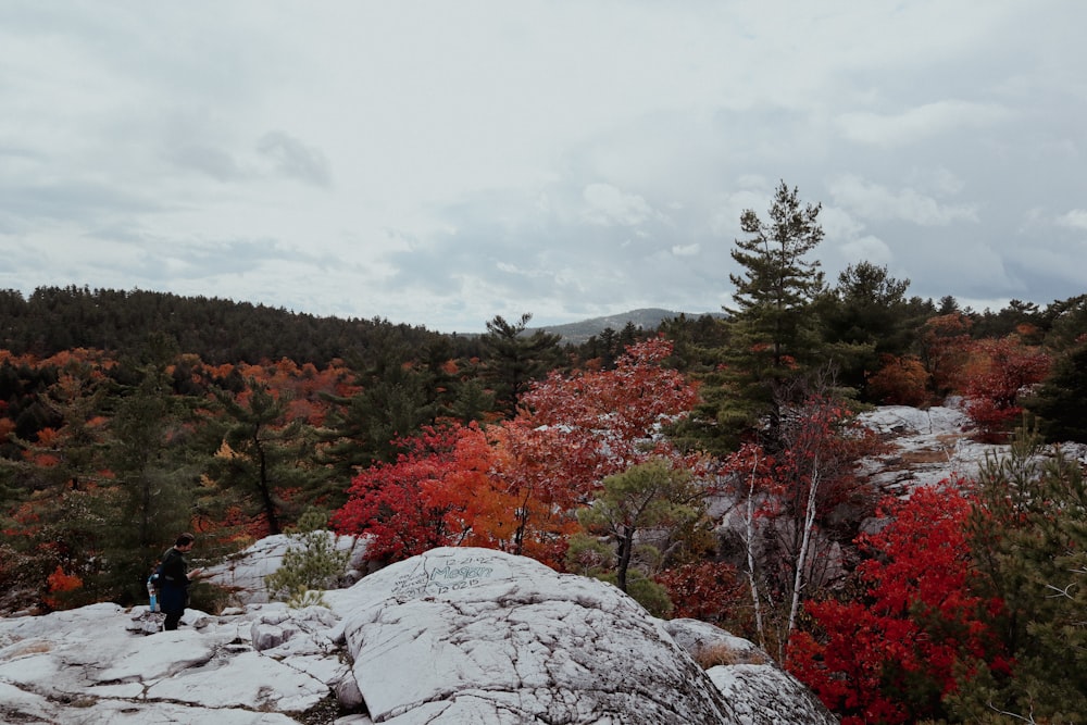 a person standing on a rock with trees in the back