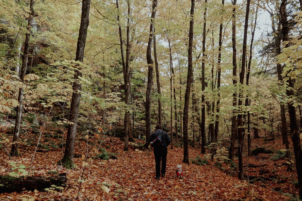 a person walking in a forest