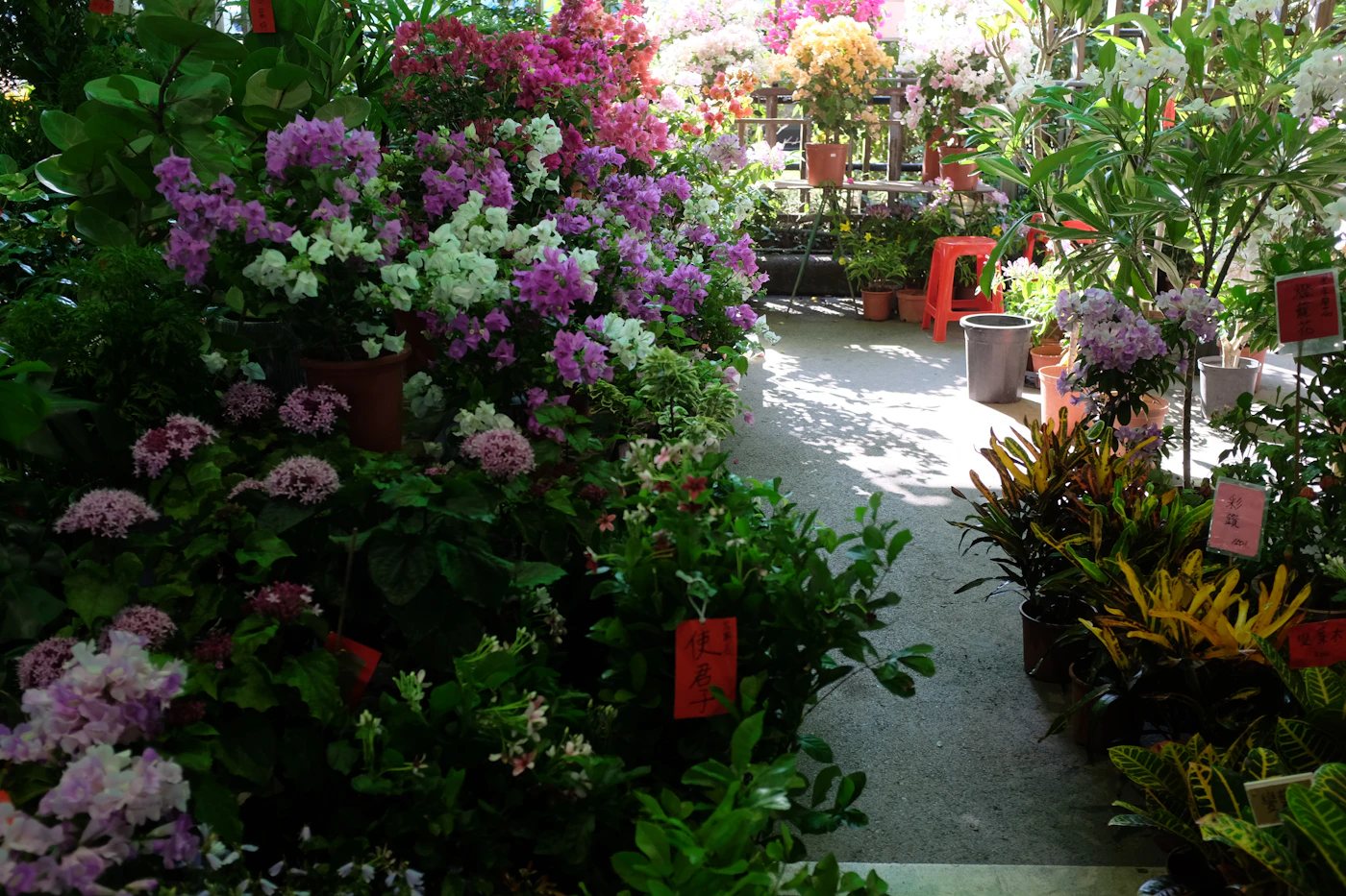 Flower garden representing a native planting project for a 41st anniversary