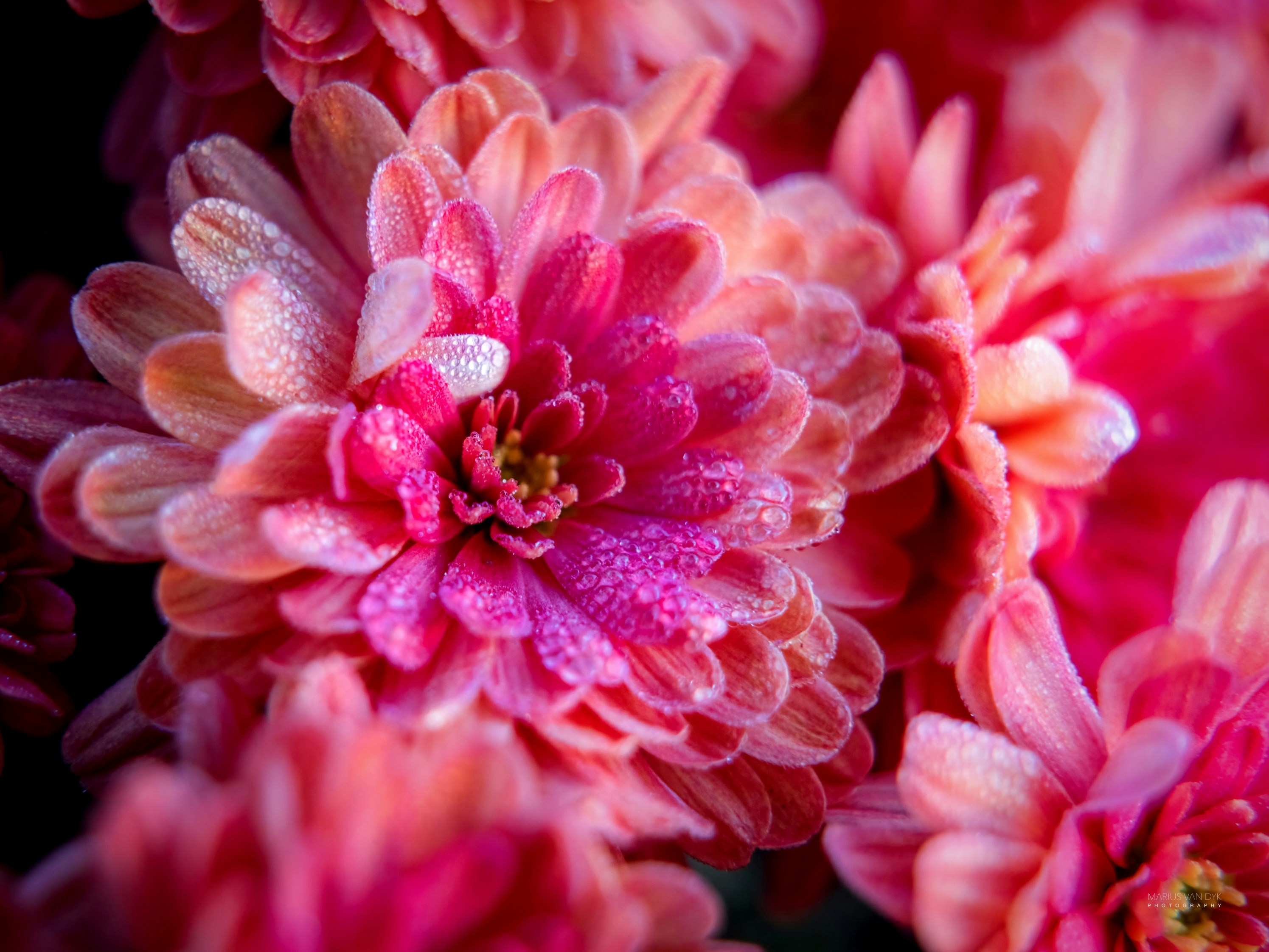 Photo by aastikmaurya