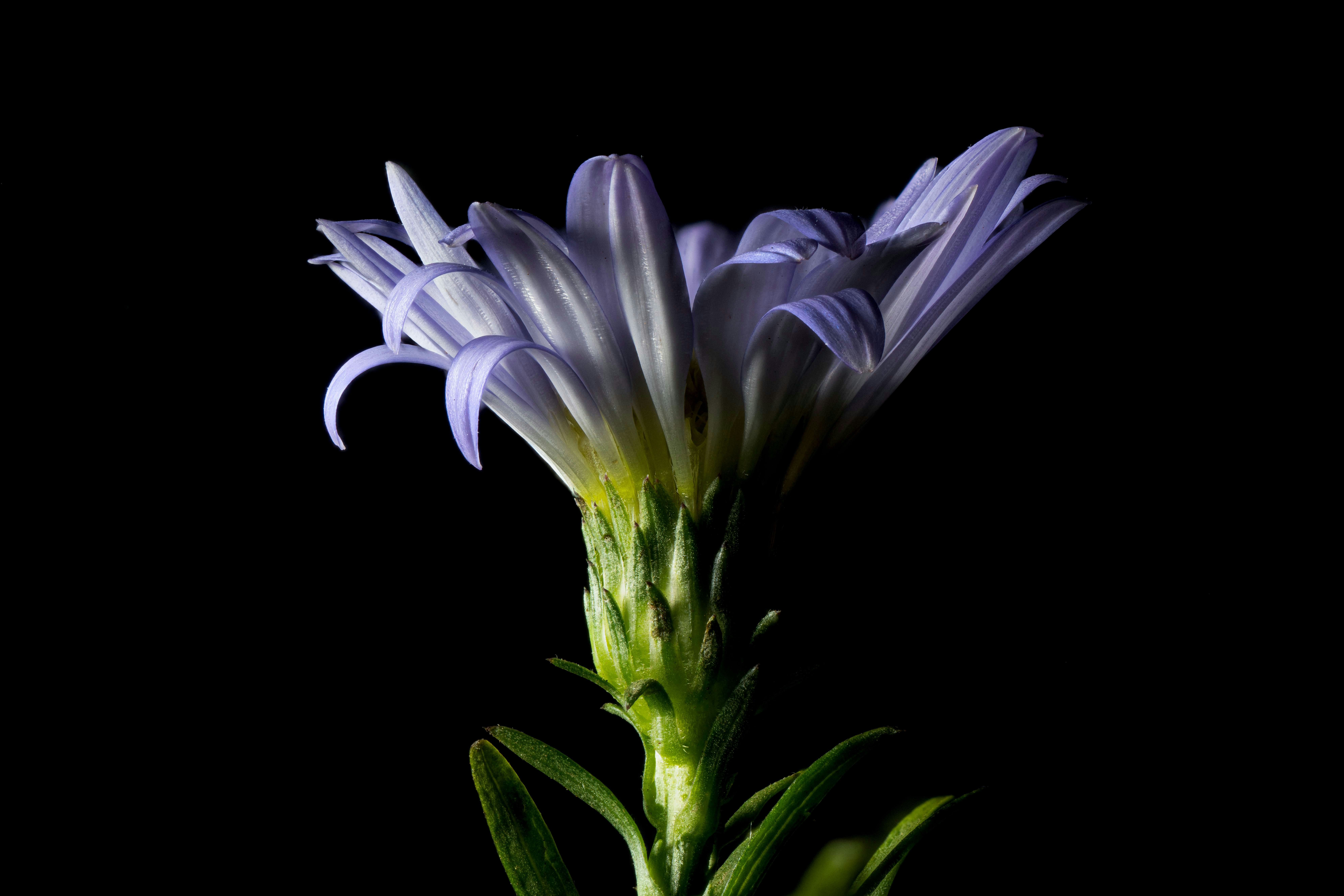 Photo by aastikmaurya