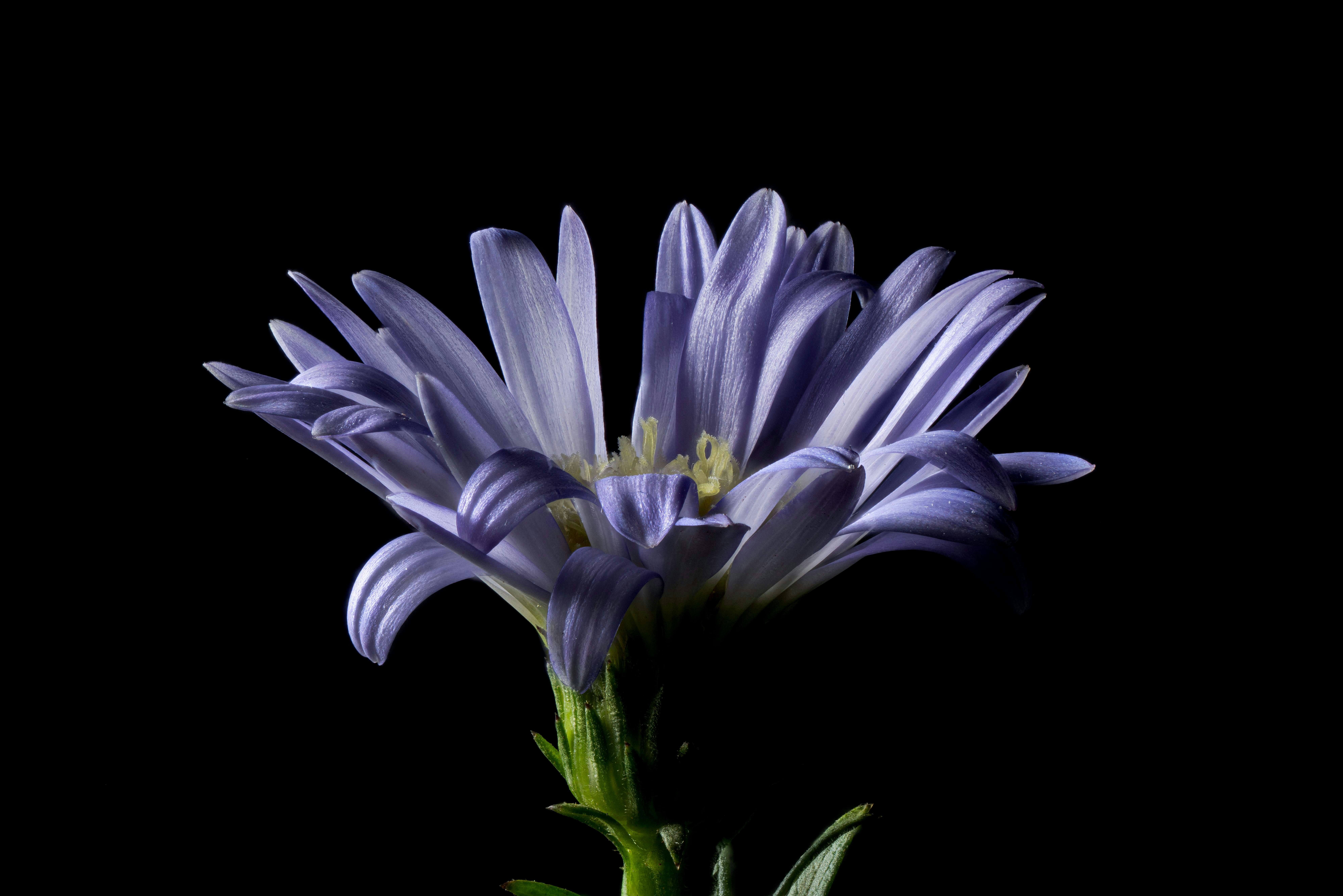 Photo by aastikmaurya